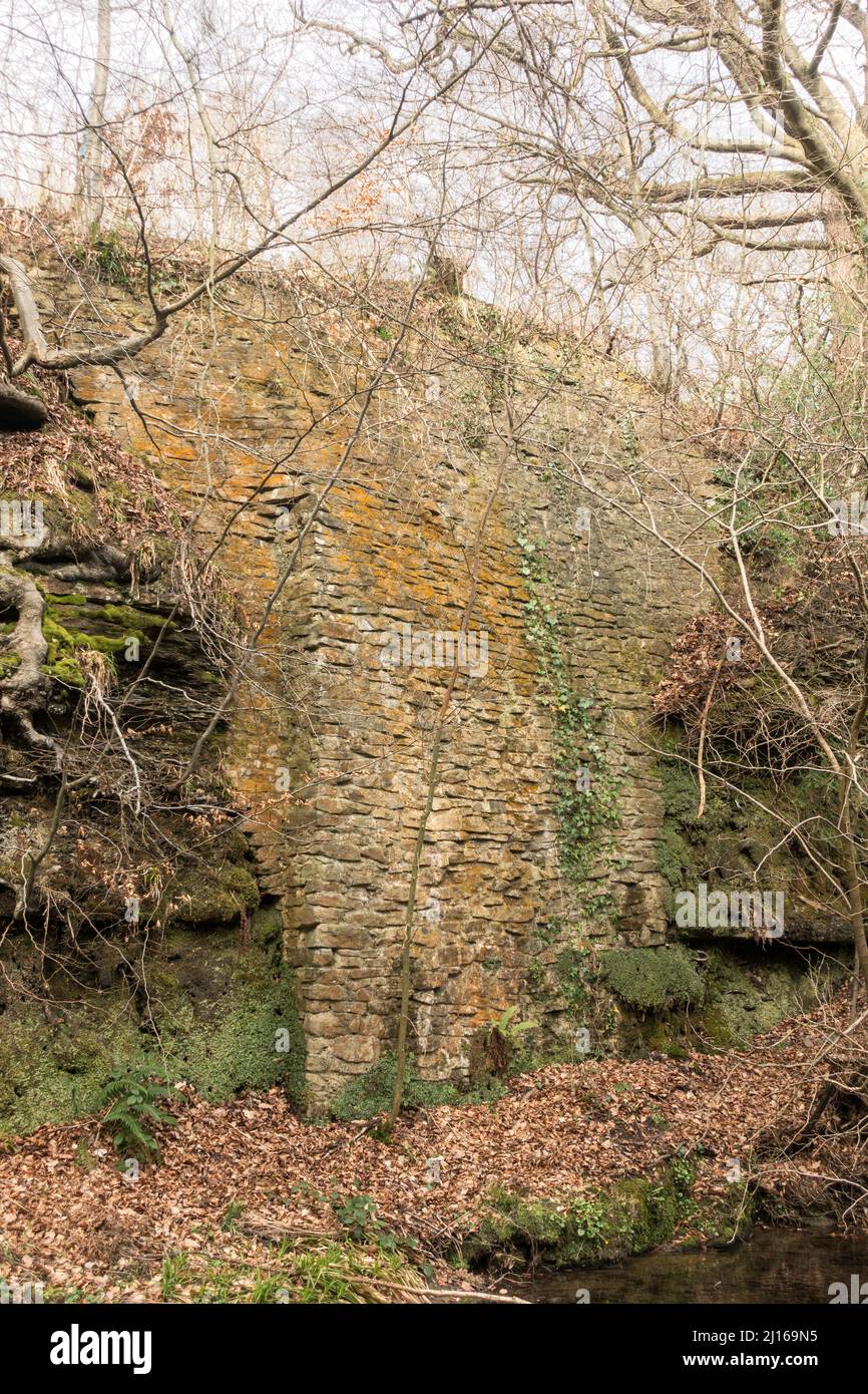 I resti di un vecchio muro di pietra probabilmente una reliquia industriale, a Pontburn Woods, Co. Durham, Inghilterra, Regno Unito Foto Stock
