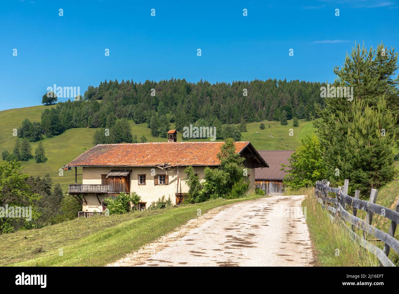 Rovine di un agriturismo vicino a Deutschnofen, Alto Adige, Italia Foto Stock