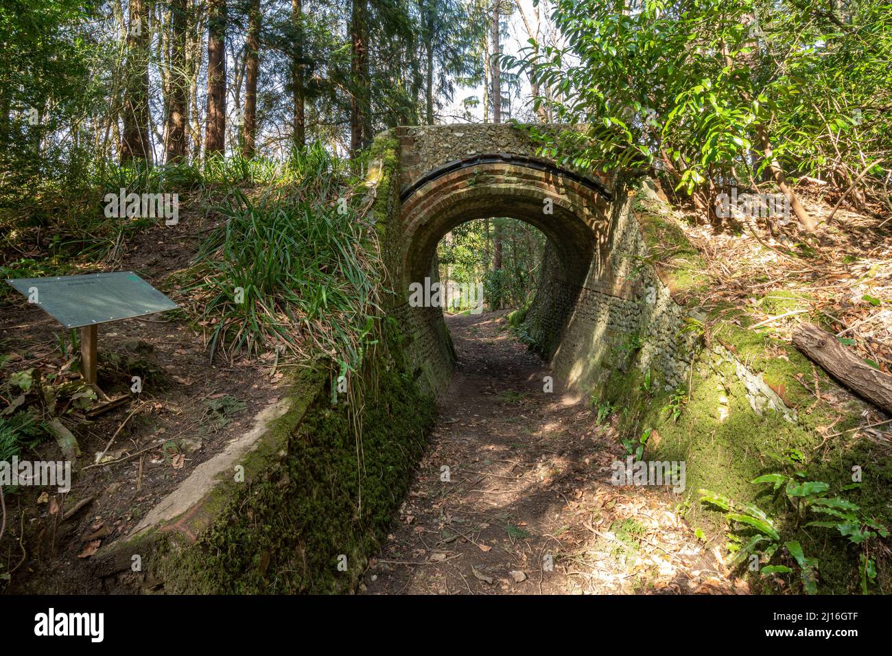 Lovelace Bridge chiamato Raven Arch, uno dei 10 ponti Lovelace storici in pietra focaia e mattoni rossi nelle Surrey Hills vicino Horsley, Surrey, Inghilterra, Regno Unito Foto Stock