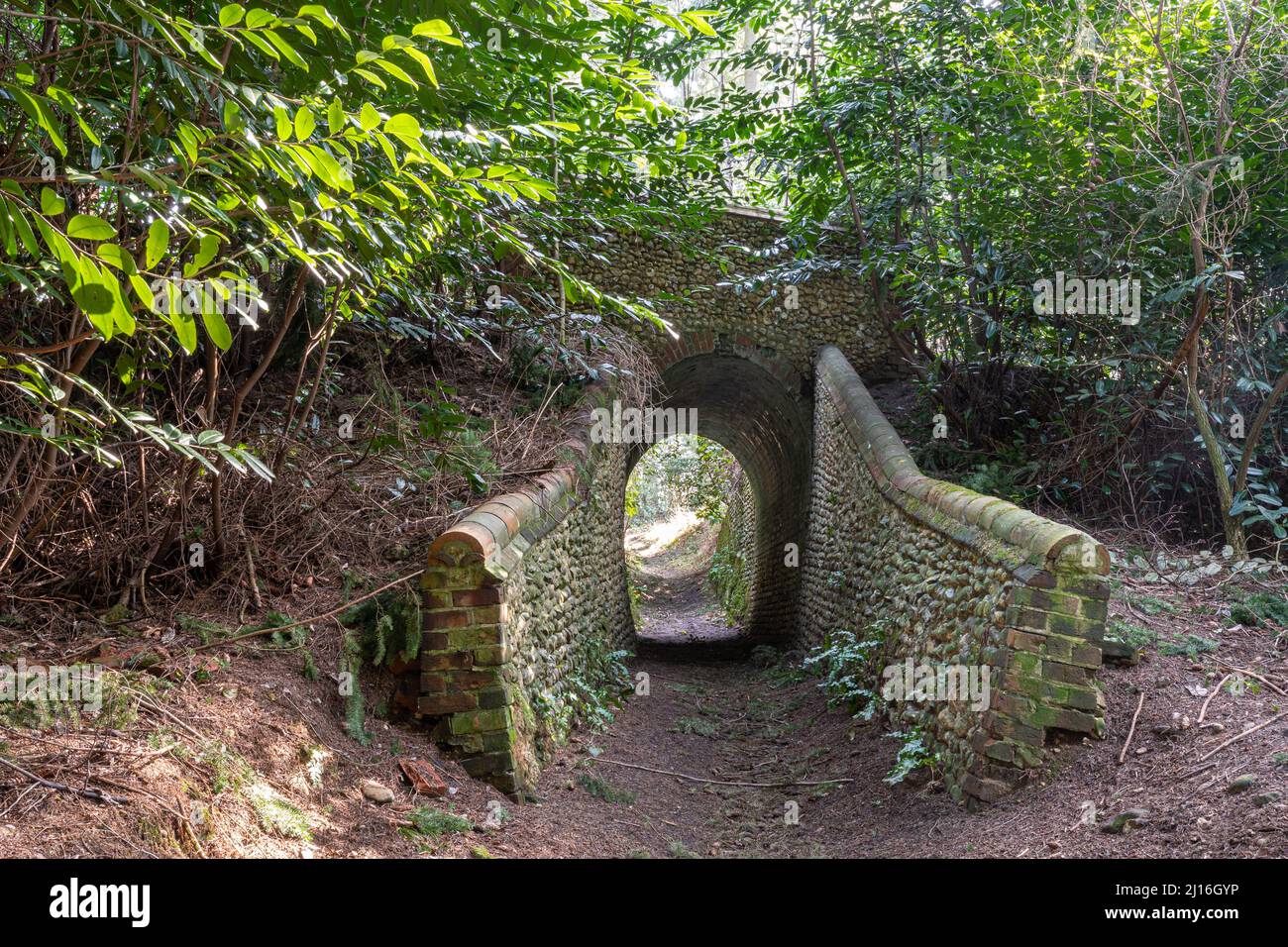 Lovelace Bridge, uno dei 10 ponti Lovelace storici in pietra focaia e mattoni rossi nelle Surrey Hills vicino Horsley, Surrey, Inghilterra, Regno Unito Foto Stock