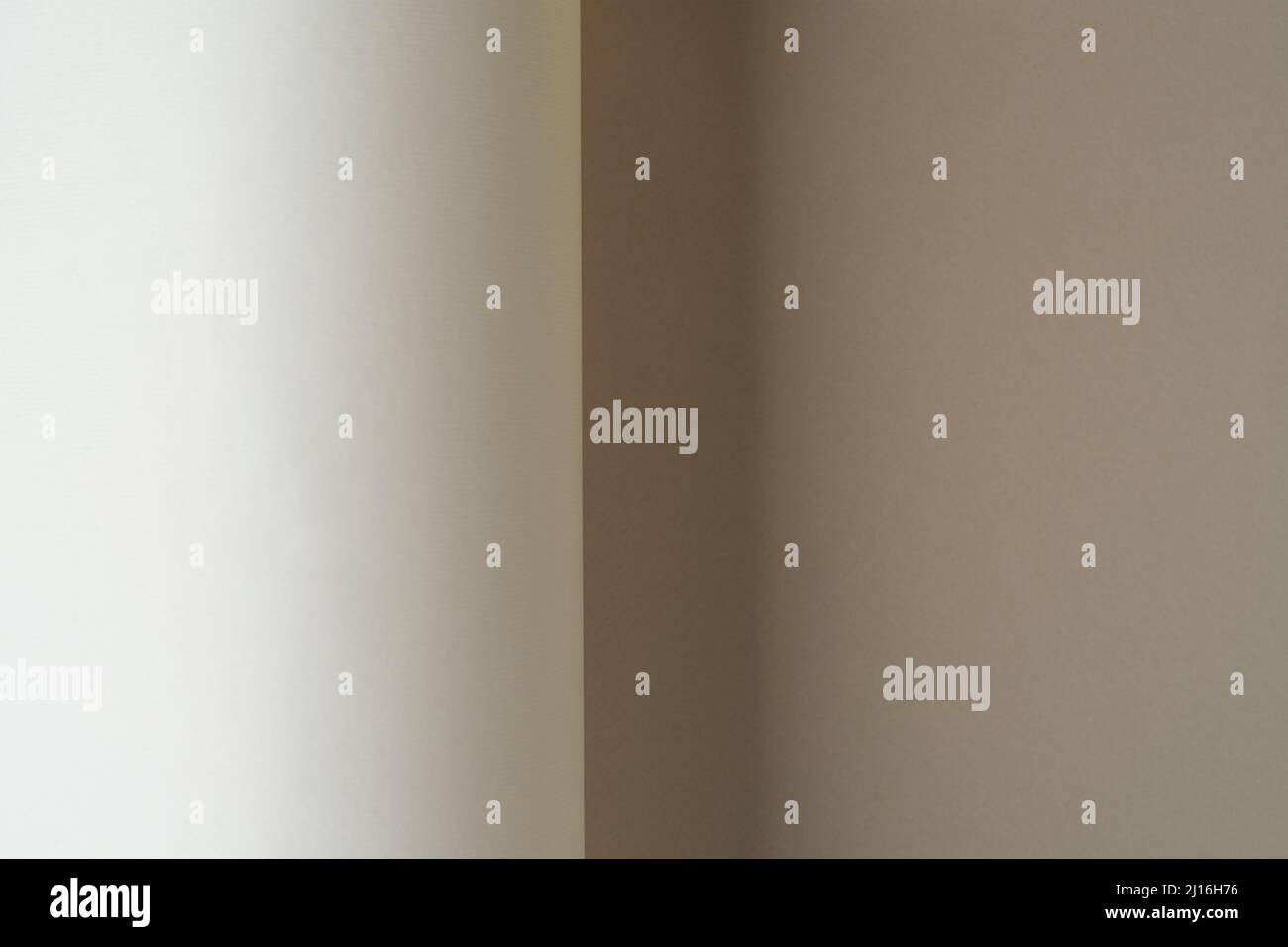 primo piano di un foglio di carta tinto arrotolato Foto Stock