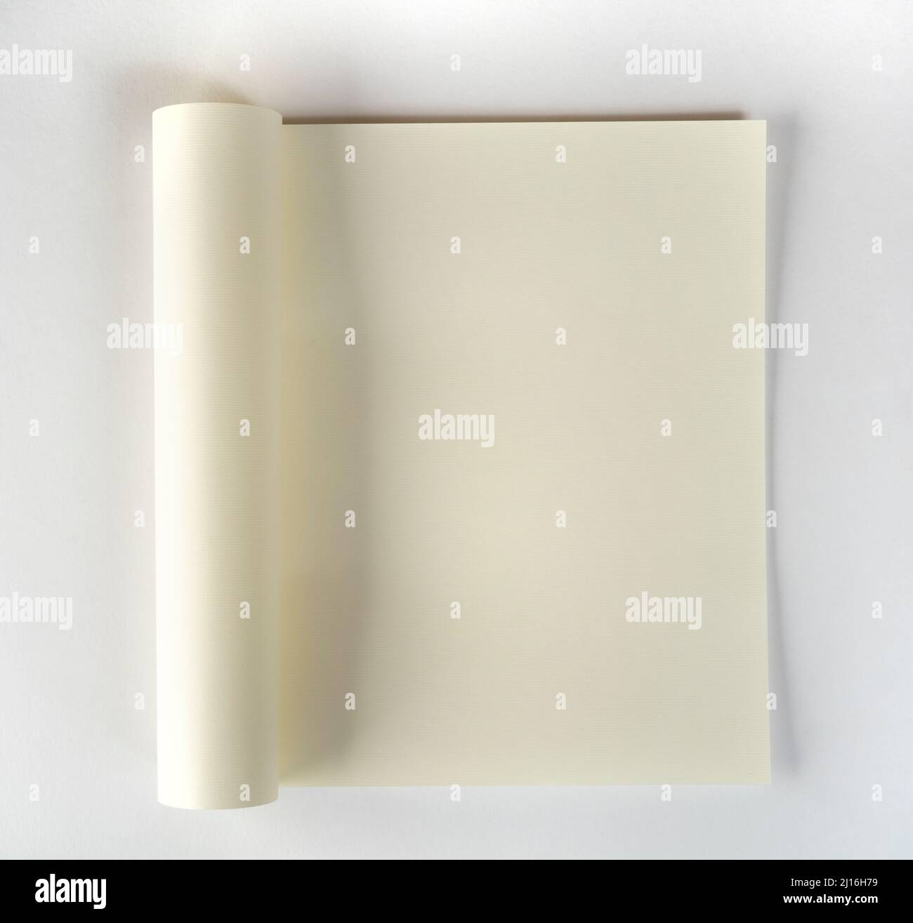 primo piano di un foglio di carta tinto arrotolato Foto Stock