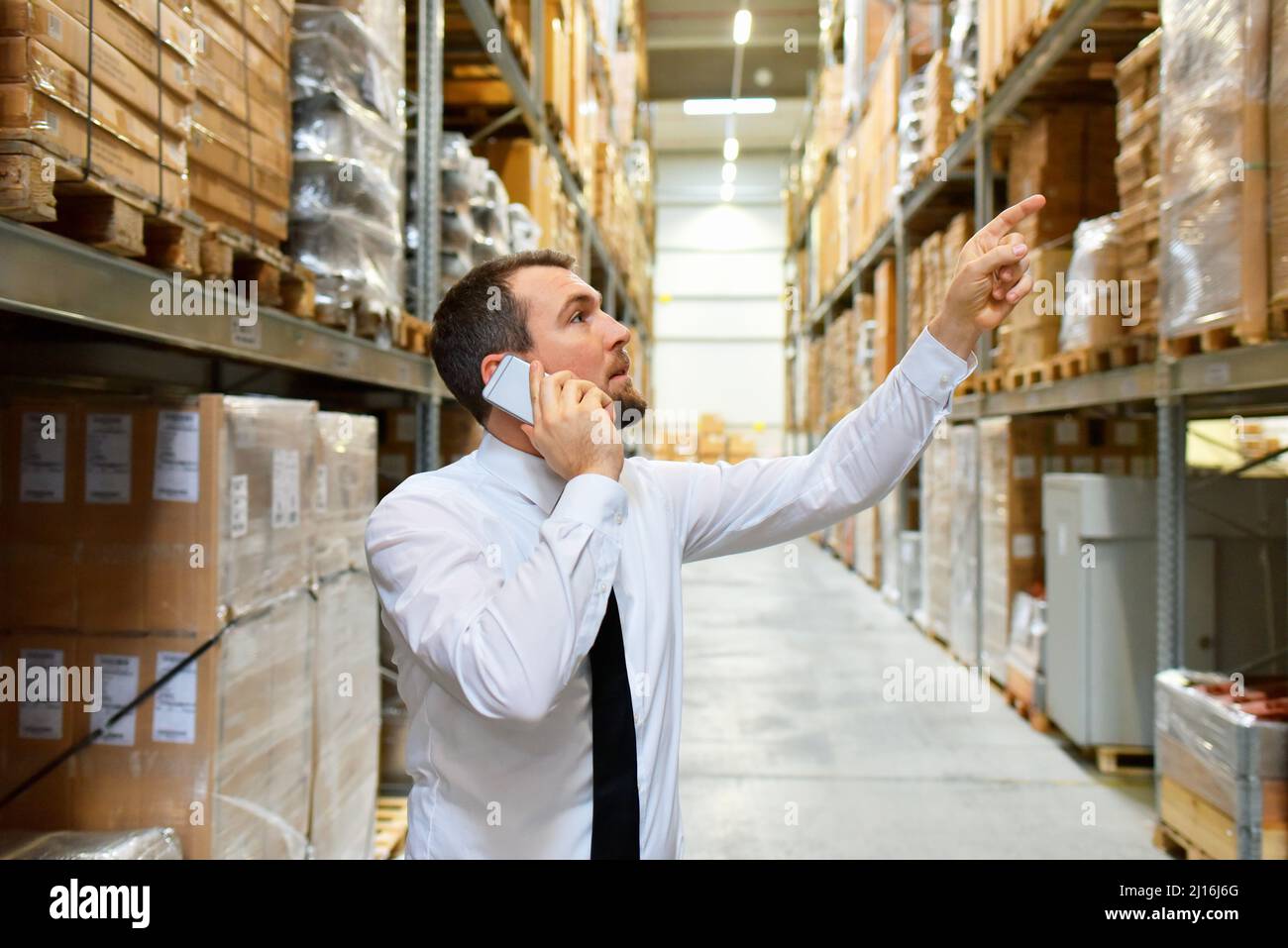 uomo d'affari/manager al telefono nel magazzino di un'azienda Foto Stock