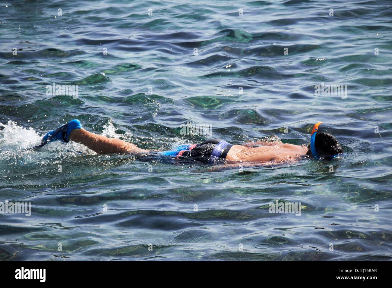 uomo che fa snorkeling in acque limpide in vacanza a puerto del carmen lanzarote isole canarie spagna Foto Stock