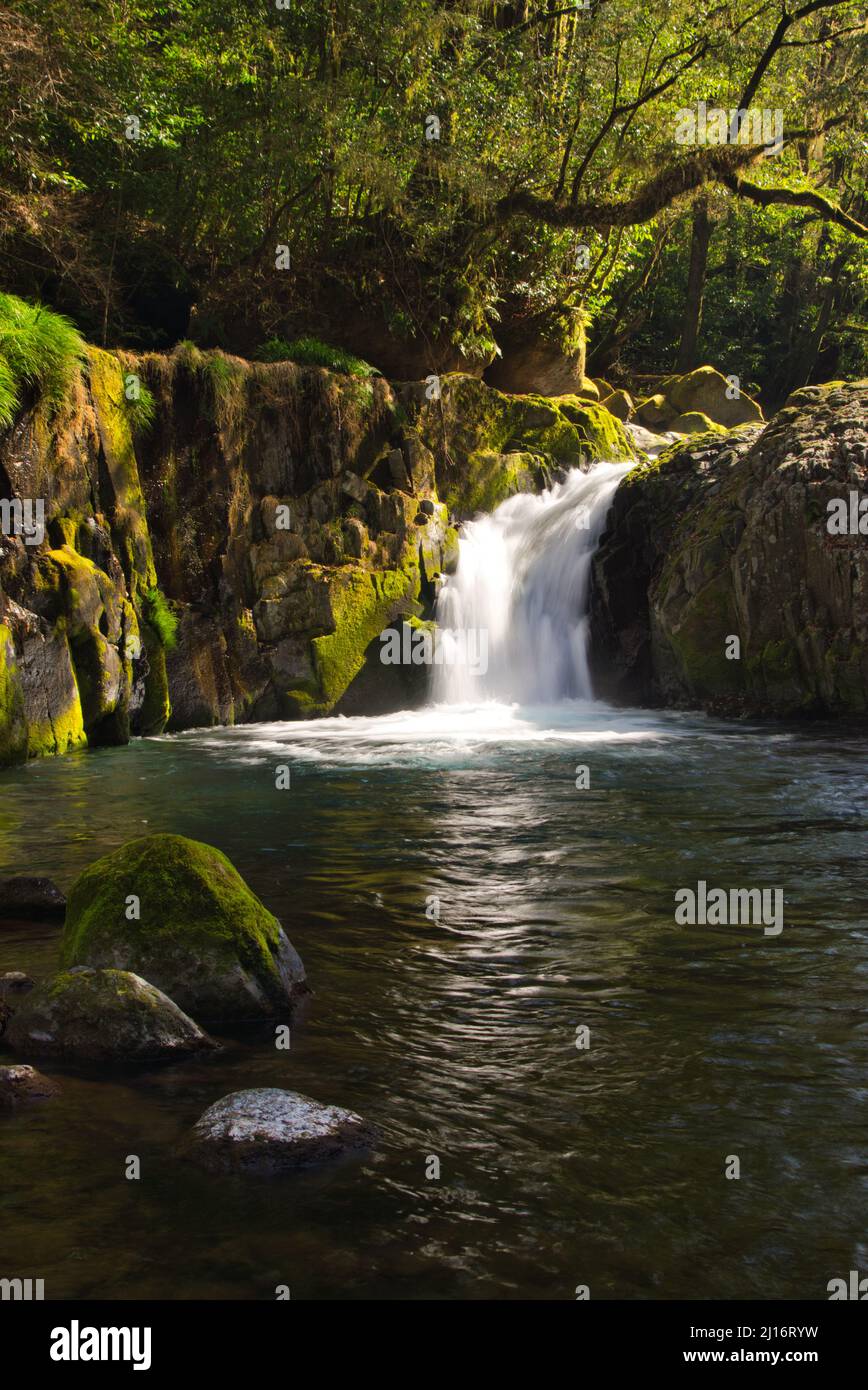 Cascate di Reimei, Gola di Kikuchi in inverno, Prefettura di Kumamoto, Giappone Foto Stock