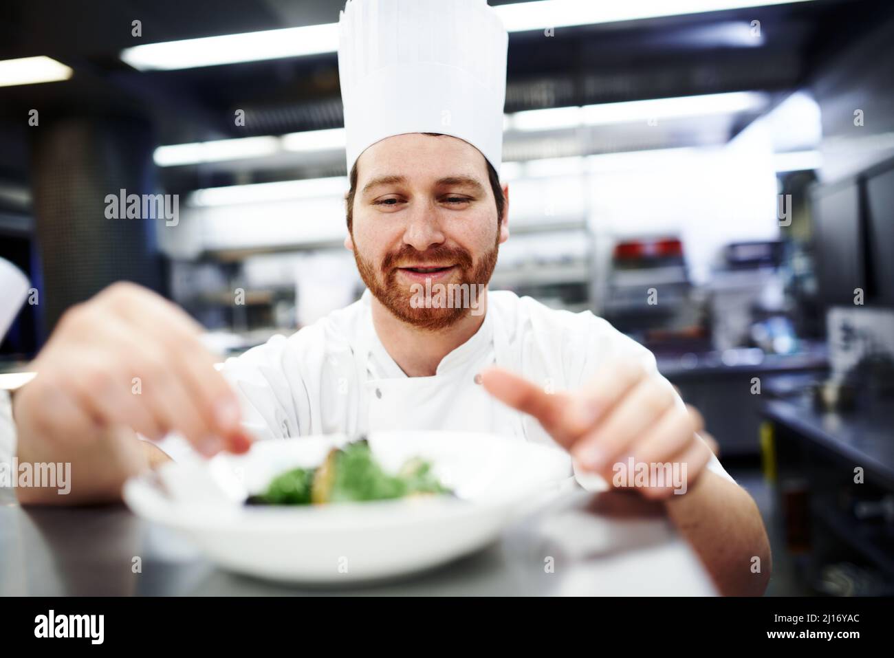 Mettendo sui ritocchi di finitura. Shot di uno chef che mette i tocchi finali su un piatto da pranzo in una cucina professionale. Foto Stock