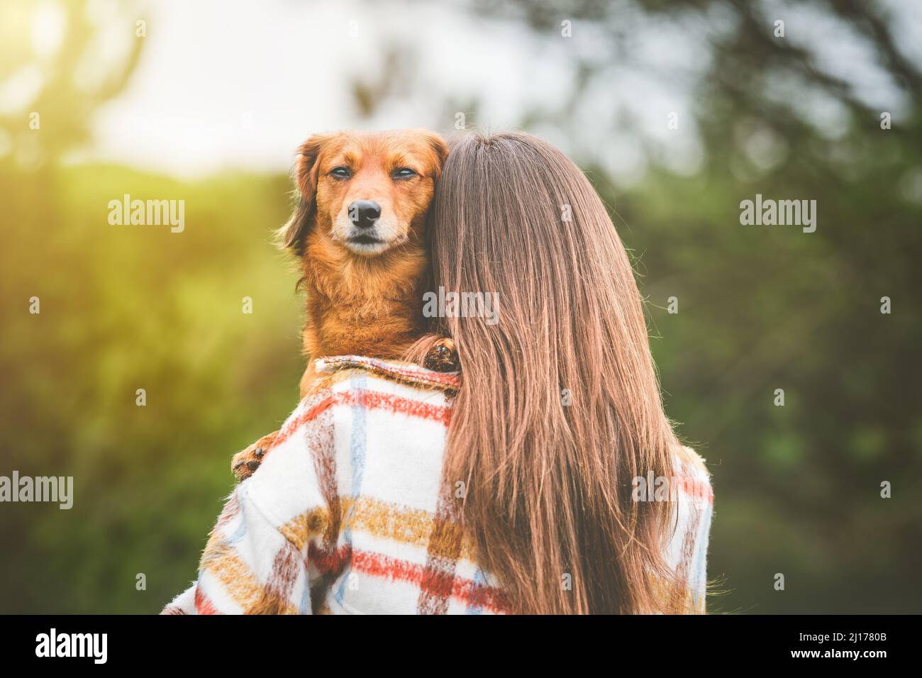 Donna con cane dachshund che guarda sopra la spalla. Cane e proprietario insieme, migliori amici. Amore per gli animali Foto Stock