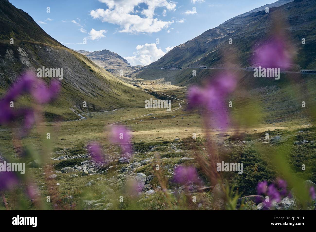 Vista panoramica della catena montuosa a Passo Forcola, Livigno, Italia Foto Stock