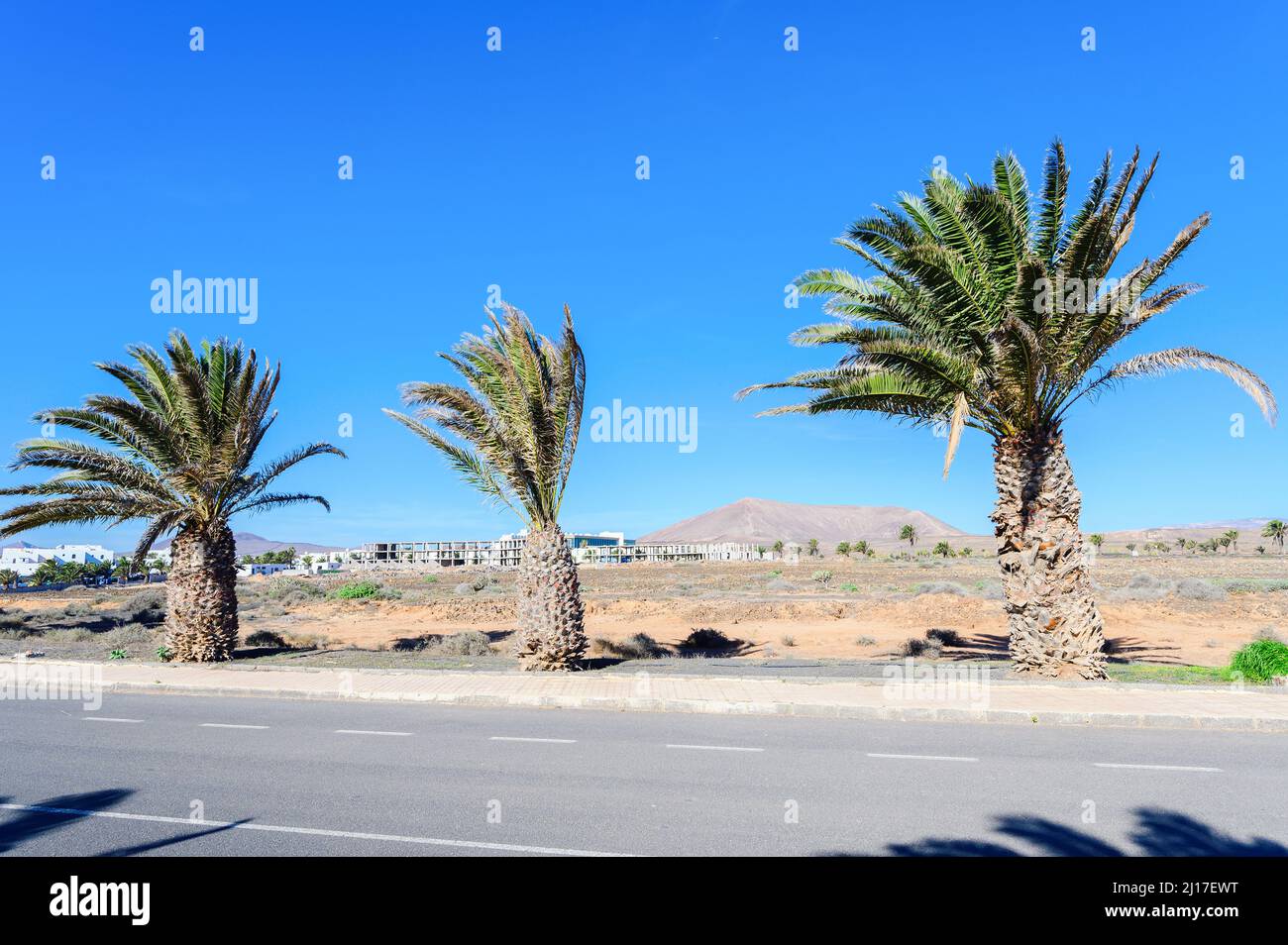 Paesaggi bruni, Costa Teguise, Isole Canarie, Spagna Foto Stock