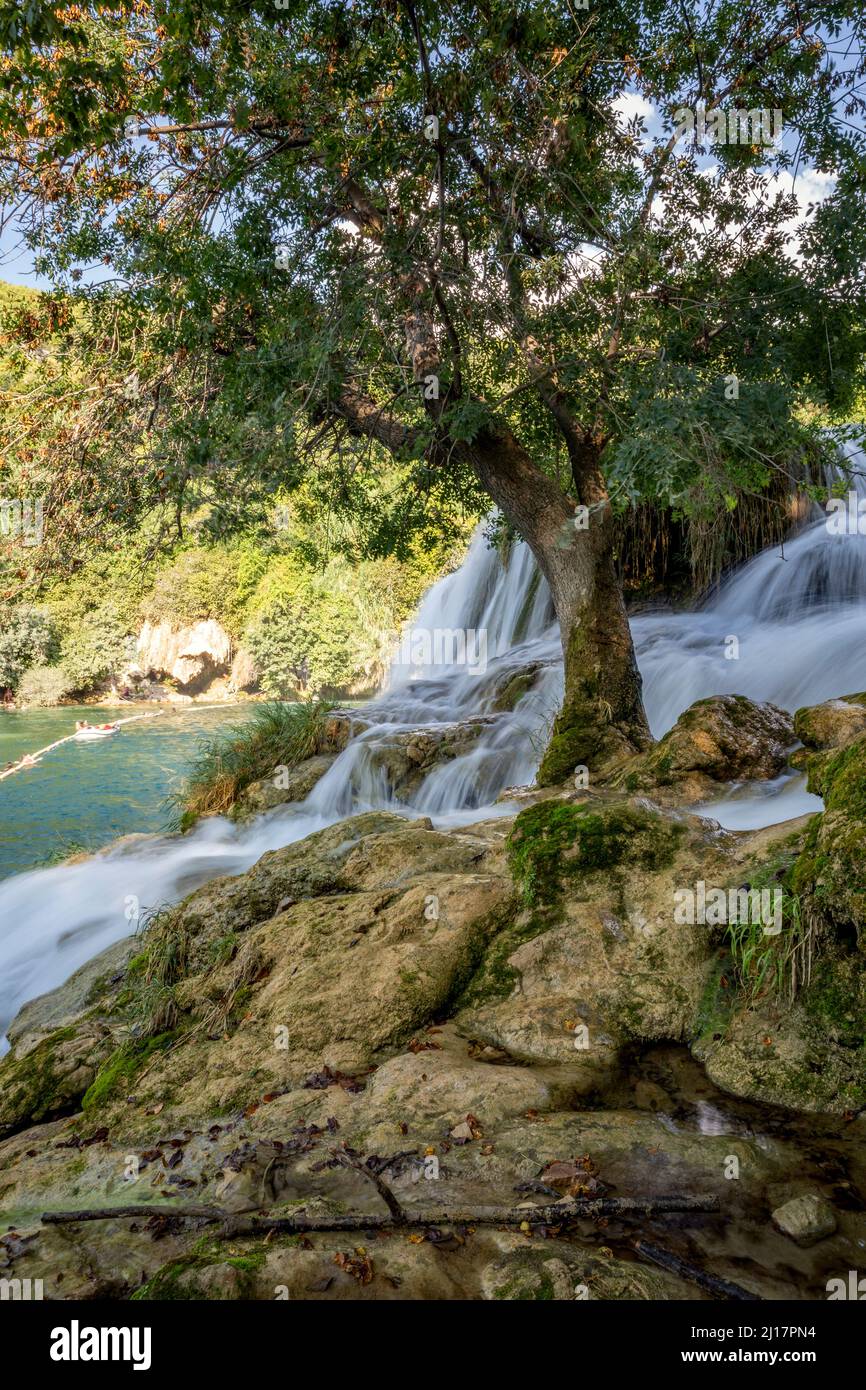 Cascata di Skradinski Buk ad albero, Parco Nazionale di Krka, Sibenik-Knin, Croazia Foto Stock