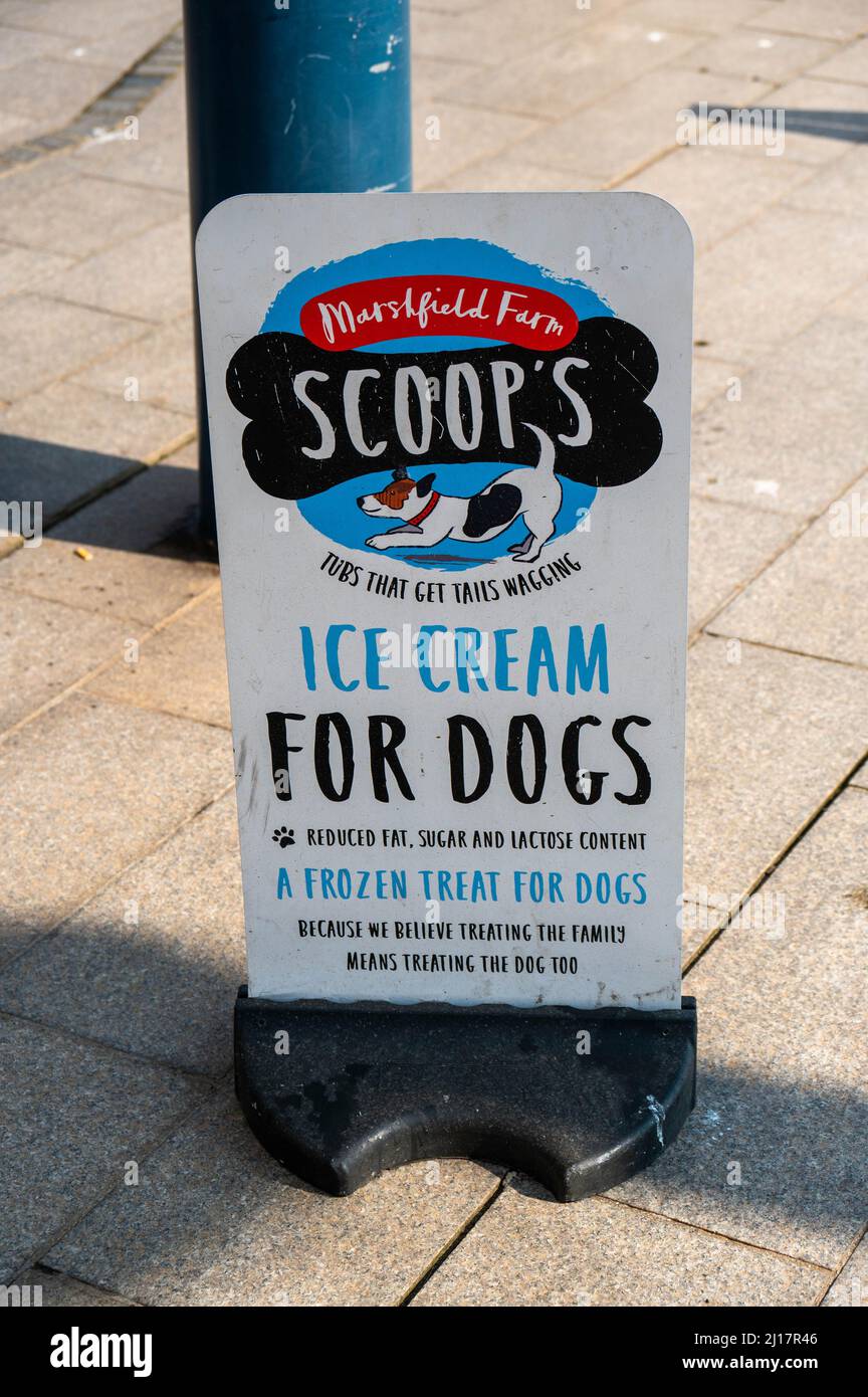 Segno di metallo che fa pubblicità gelato per i cani a Great Yarmouth Norfolk Foto Stock