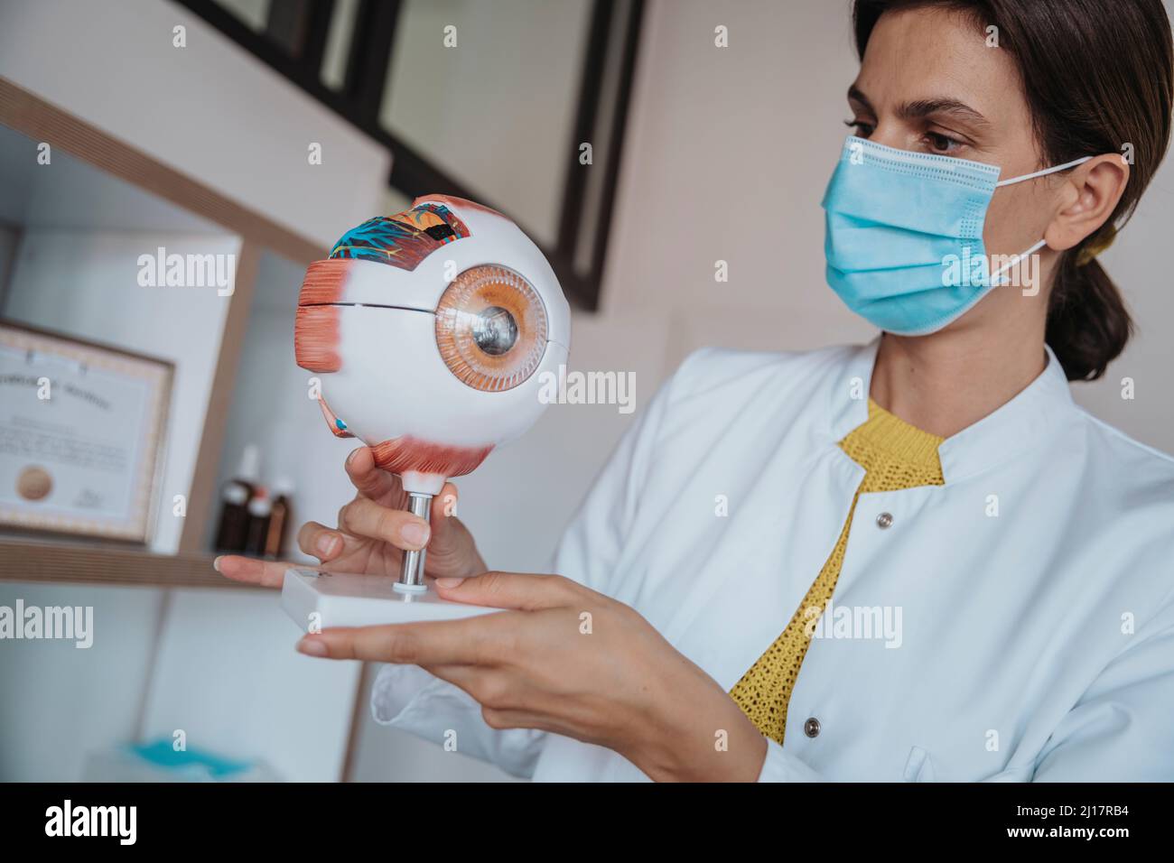 Medico femminile con maschera protettiva che tiene la struttura dell'occhio umano in clinica Foto Stock