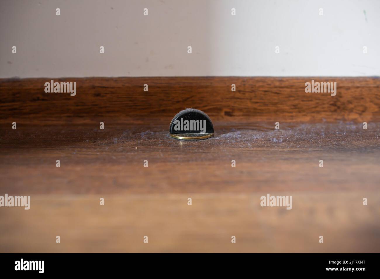 Fermaporta ricoperto di polvere e sporcizia chiudere il paraurti della porta trascurato sul pavimento in legno marrone fermaporta a forma di semicono in oro ricoperto di polvere Foto Stock