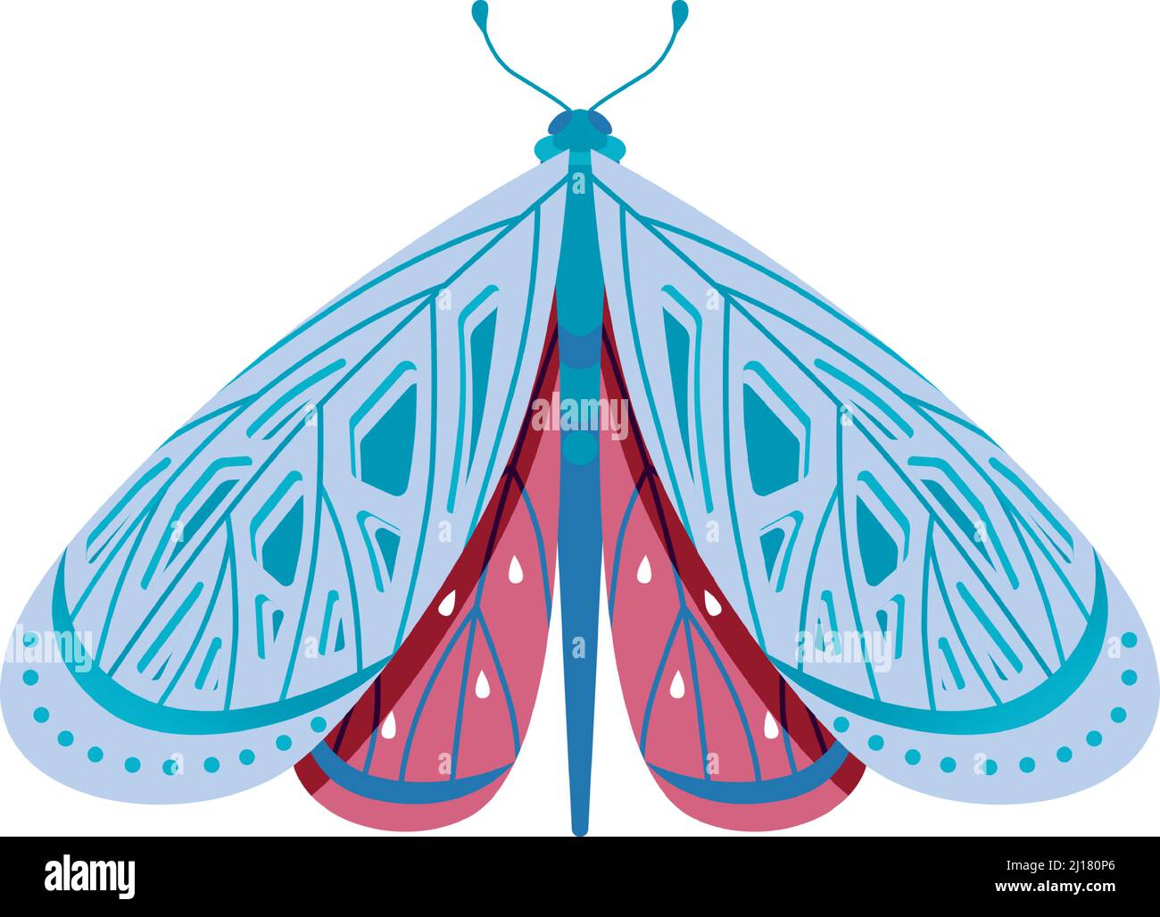 Moth con graziose ed eleganti ali motivo. Delicato insetto volante Illustrazione Vettoriale
