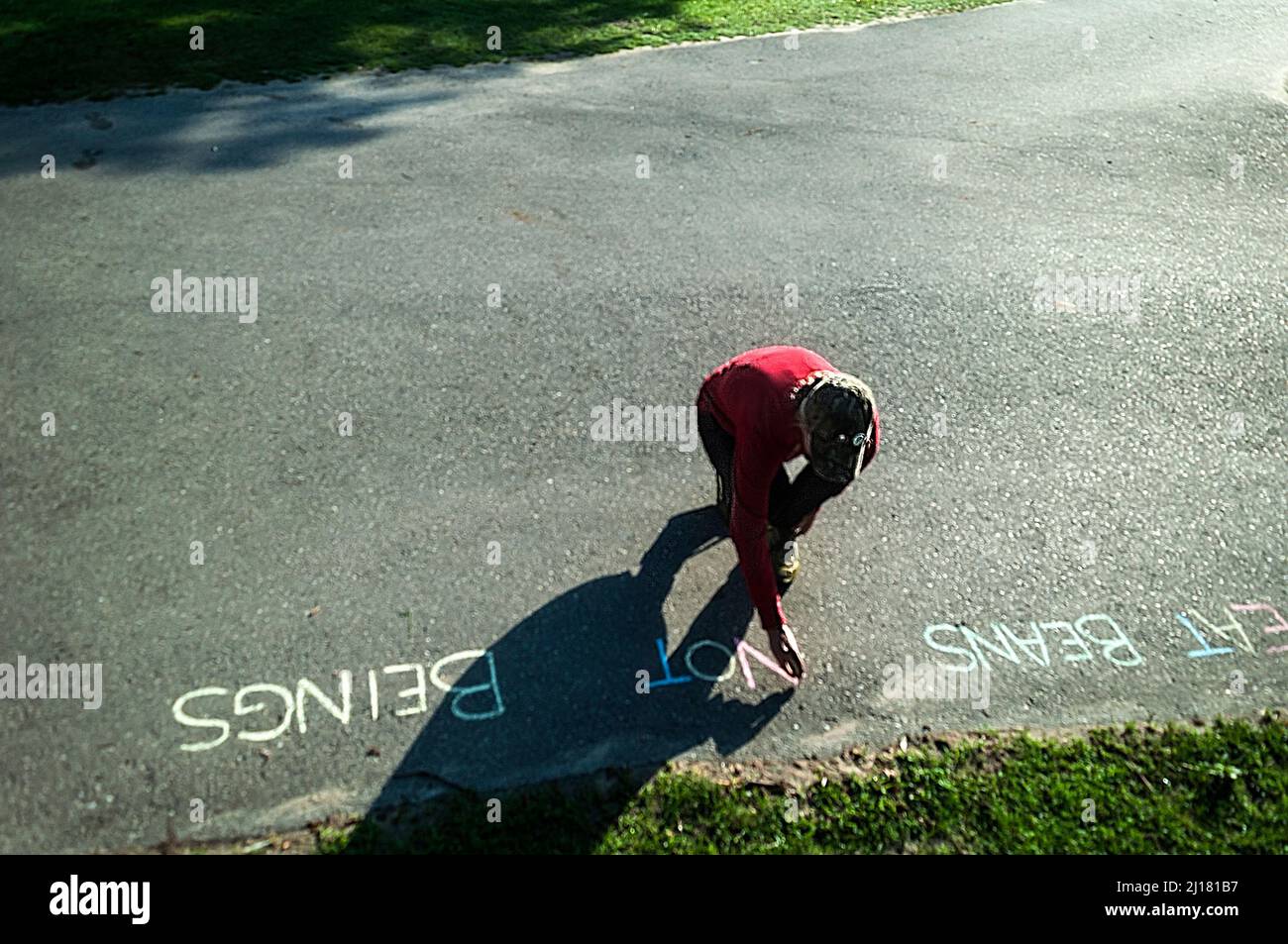 Una giovane donna scrive un messaggio vegano catchy in gesso sul marciapiede, Ontario, Canada. Mangia fagioli, non esseri. Foto Stock