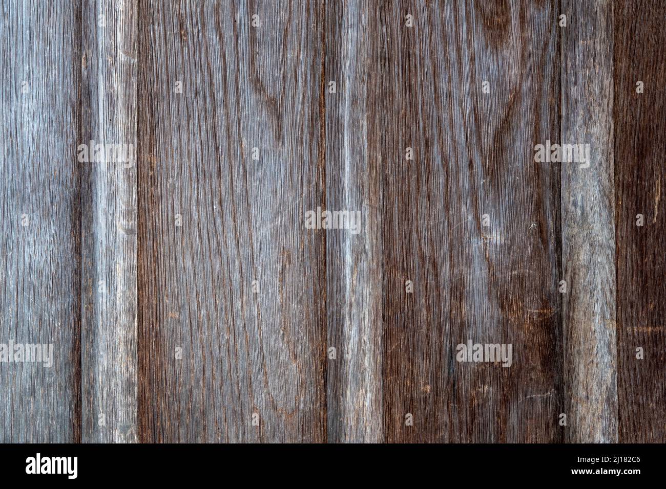 Primo piano della vecchia porta di quercia con bordatura verticale e venatura di legno esposta Foto Stock