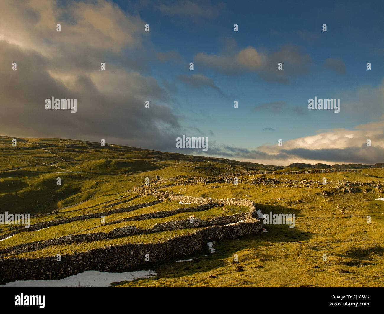 Field Systems su Sheriff Hill, Malham, Yorkshire Dales Foto Stock