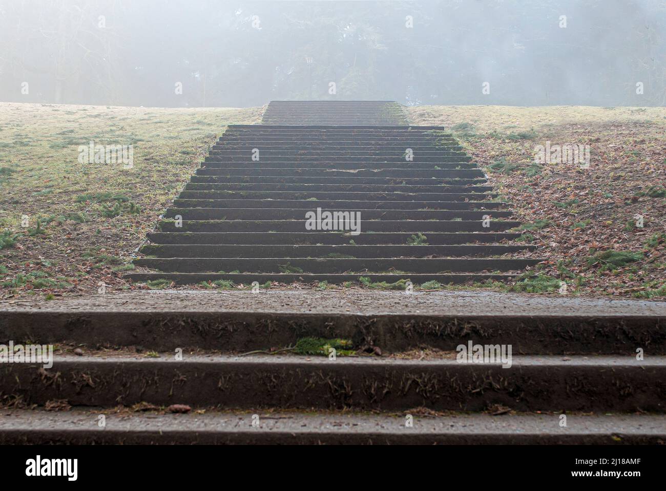 Vista ad angolo basso delle scale di cemento in nebbia Foto Stock