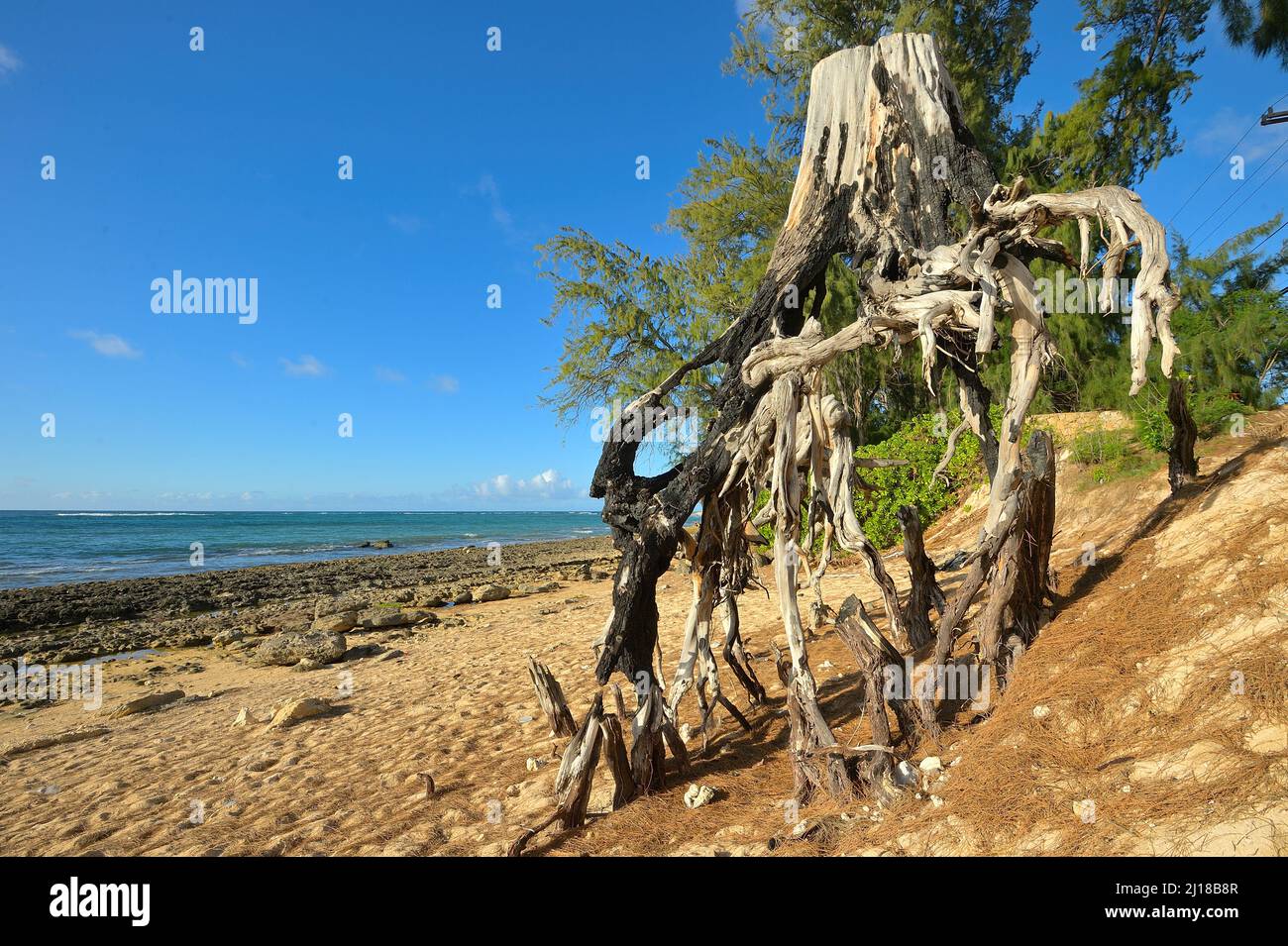 Impressioni panoramiche dalla spiaggia di Kawela sulla riva nord, Oahu HI Foto Stock
