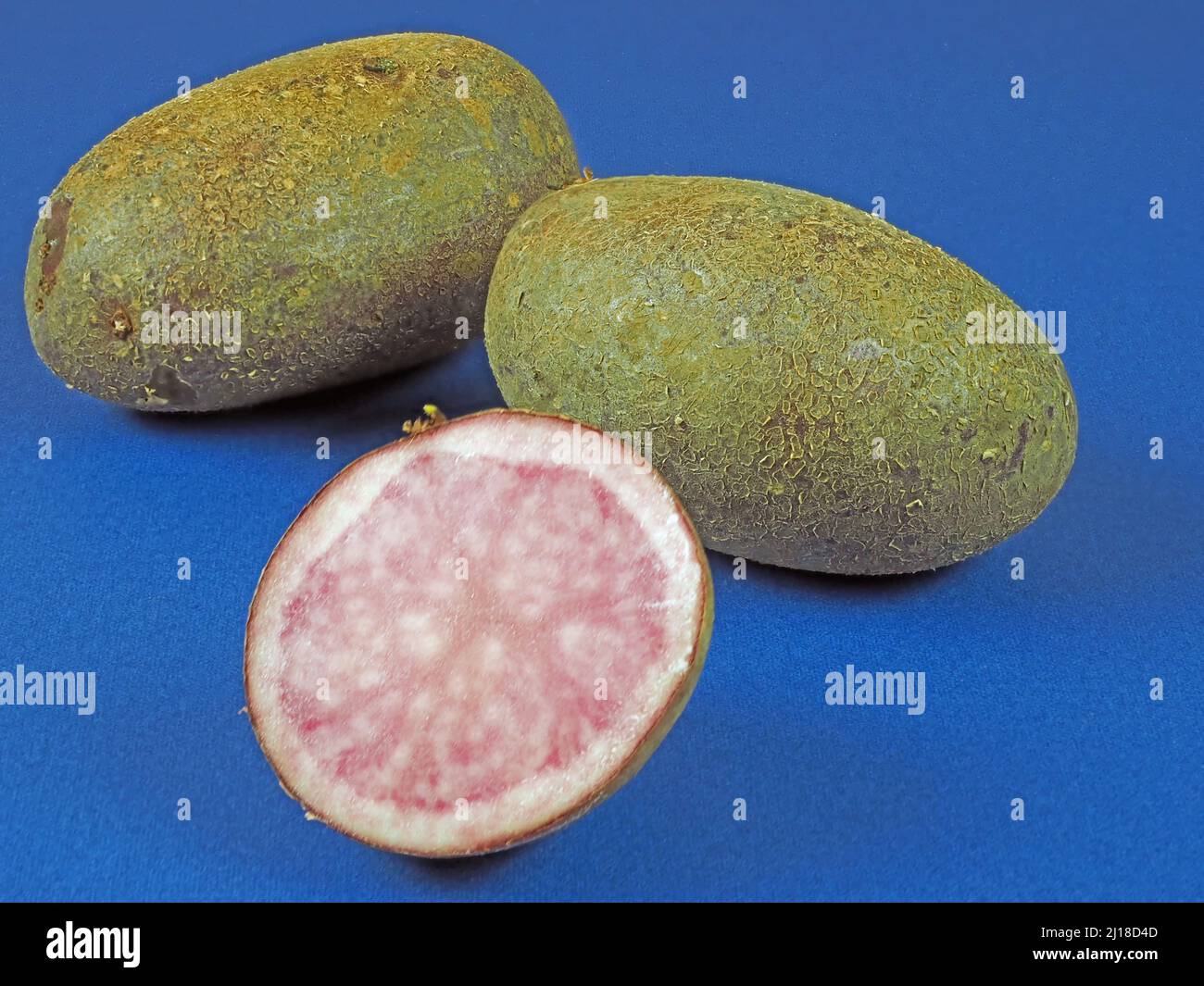 Tre patate di viola Violetta isolato su sfondo blu Foto Stock