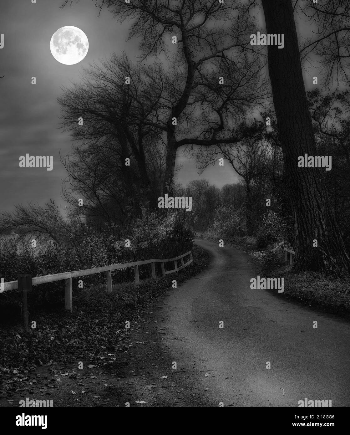 Moon Road. Luna e strada in paesaggio danese di notte - Jutland.. Foto Stock
