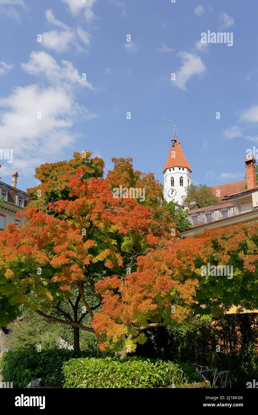 Thun, Svizzera - 08 settembre 2015: Torre medievale (ca 1330) della chiesa cittadina (Stadtkirche) situata sulla collina del castello e appartiene al c Foto Stock
