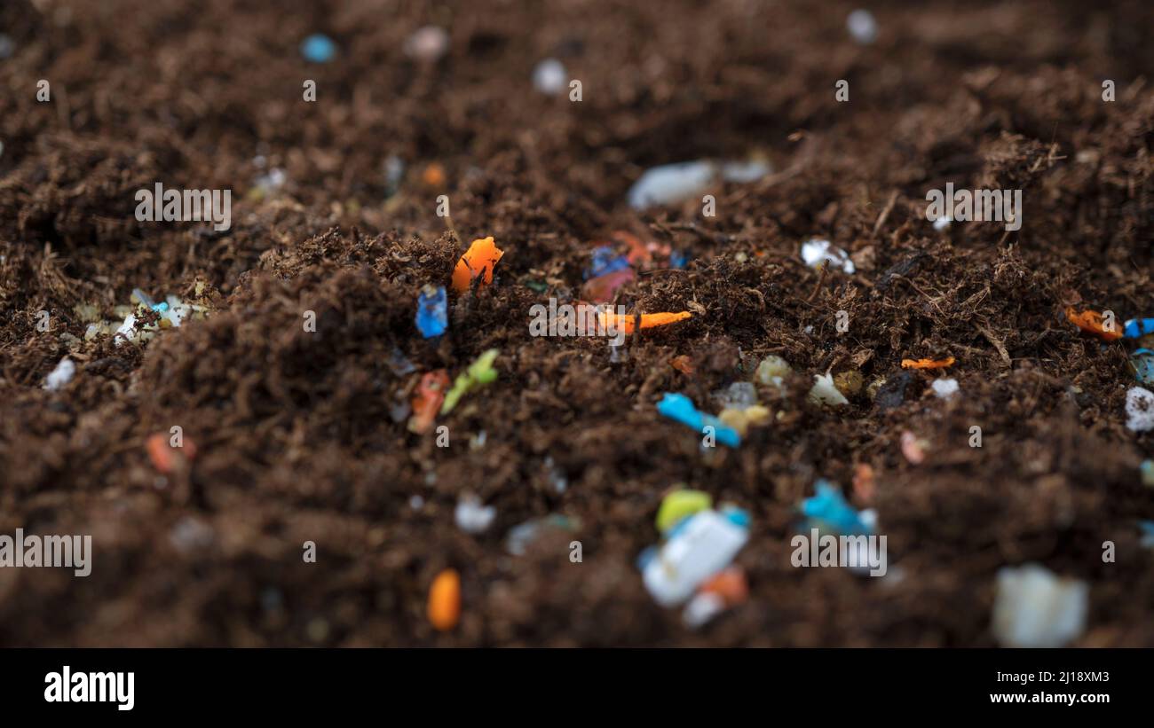 Microplastici all'interno del suolo. Concetto di riscaldamento globale e cambiamento climatico. Inquinamento plastico non riciclabile nel terreno. Foto Stock