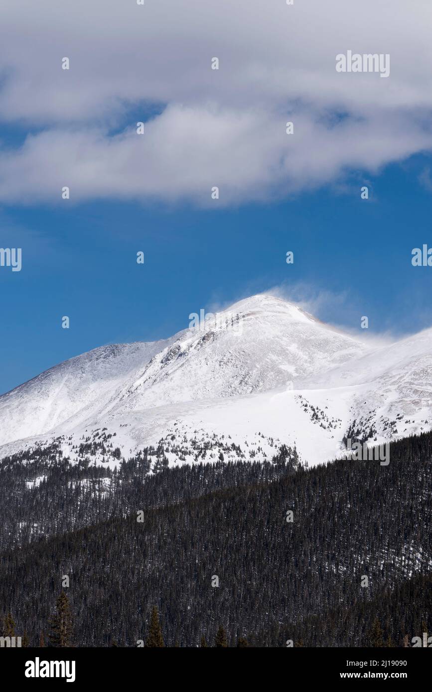 Parry Peak, 13.391 metri circa, vista dall'autostrada 40 Berthoud Pass. Foto Stock