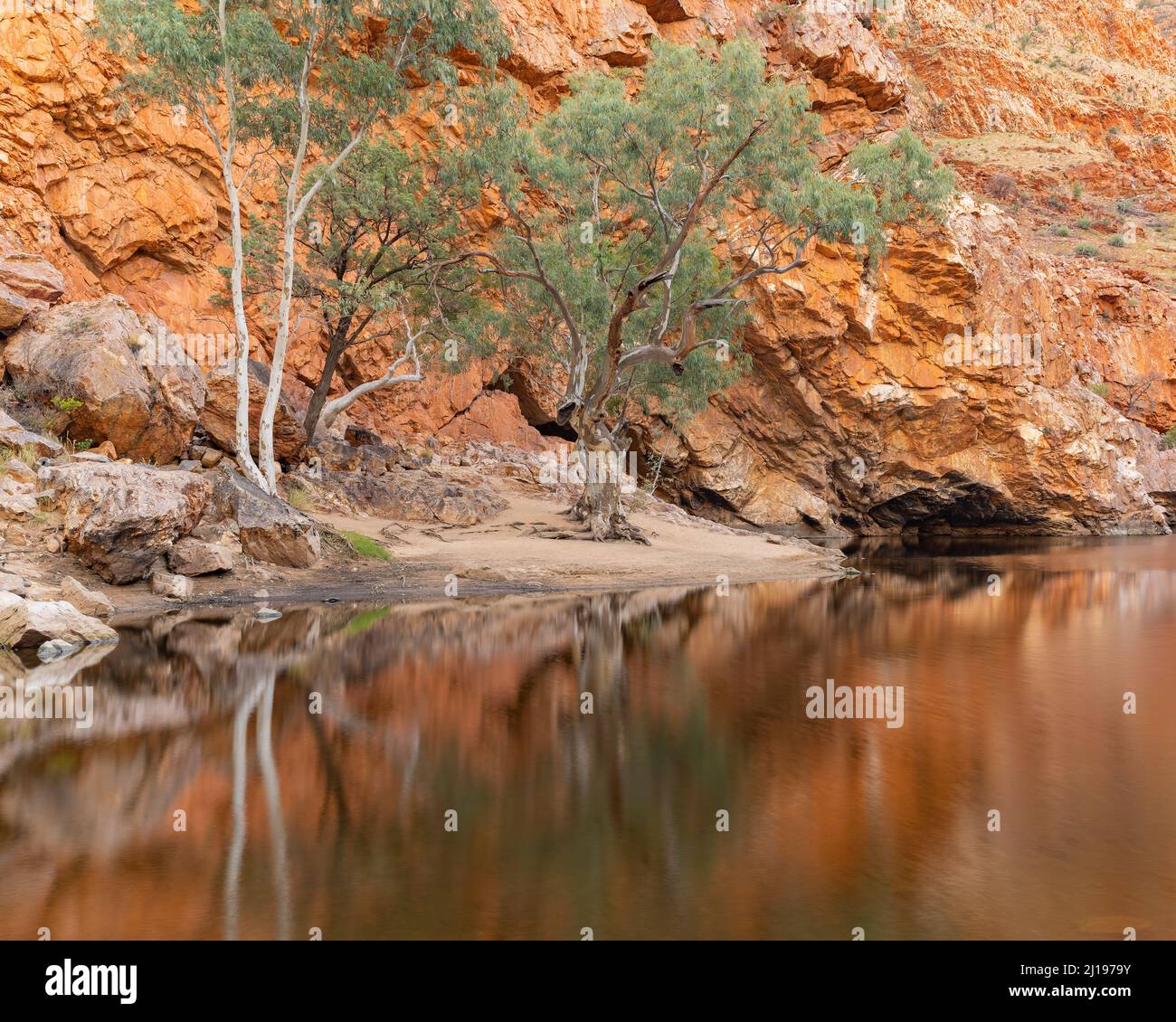 un'alba di un buco d'acqua e di alberi di gomma nella gola di ormiston nel parco nazionale tjoritja-west macdonnell del territorio settentrionale Foto Stock