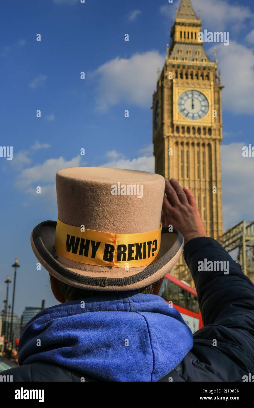 Westminster, Londra, Regno Unito. 23rd Mar 2022. I manifestanti di Sodem (Stand in Defiance European Movement) si radunano al di fuori del Parlamento di Westminster con bandiere e cartelli. Il gruppo pro-UE vuole evidenziare i problemi legati alla Brexit, così come i fallimenti del governo. Credit: Imagplotter/Alamy Live News Foto Stock