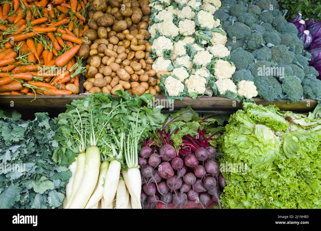 vari ortaggi biologici presenti sul mercato, mucchio di carota, patate, broccoli, cavolfiore, foglie di ravanello, barbabietole e lattuga Foto Stock