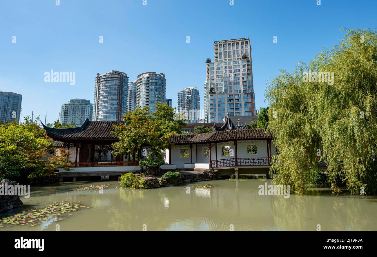Giardino con laghetto, Pagoda Cinese tradizionale nel Giardino Cinese Classico Dr. Sun Yat-Sen, alti edifici nel retro, Vancouver, British Foto Stock