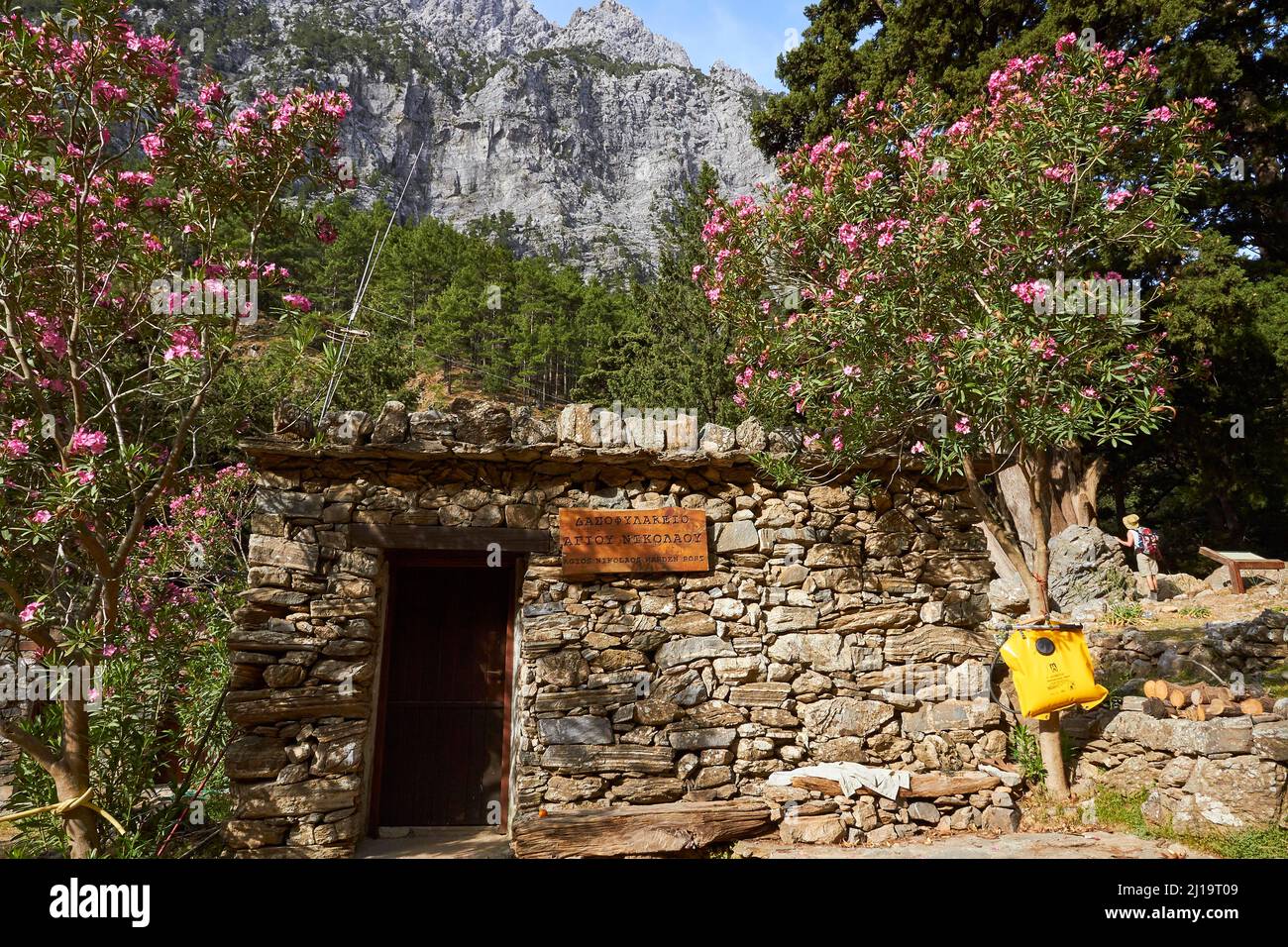 Primavera a Creta, oleandro (nerii), rifugio in pietra, Agios Nikolaos, parete di montagna, Gola di Samaria, Creta occidentale, isola di Creta, Grecia Foto Stock