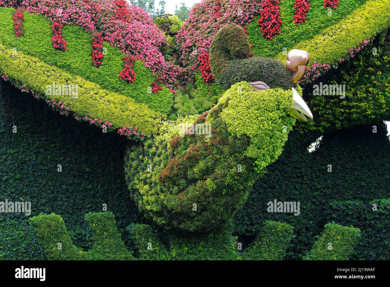 Scultura vegetale, orticoltura, Giardino Botanico, Montreal, provincia del Québec, Canada Foto Stock