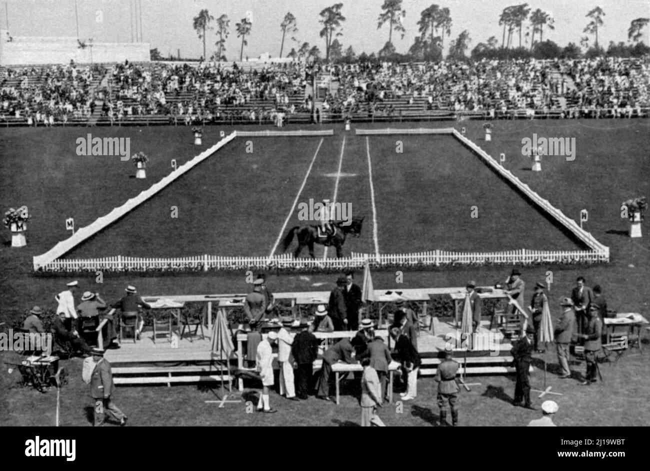 Equitazione, prova di dressage sulla Maifeld, dressage arena Foto Stock