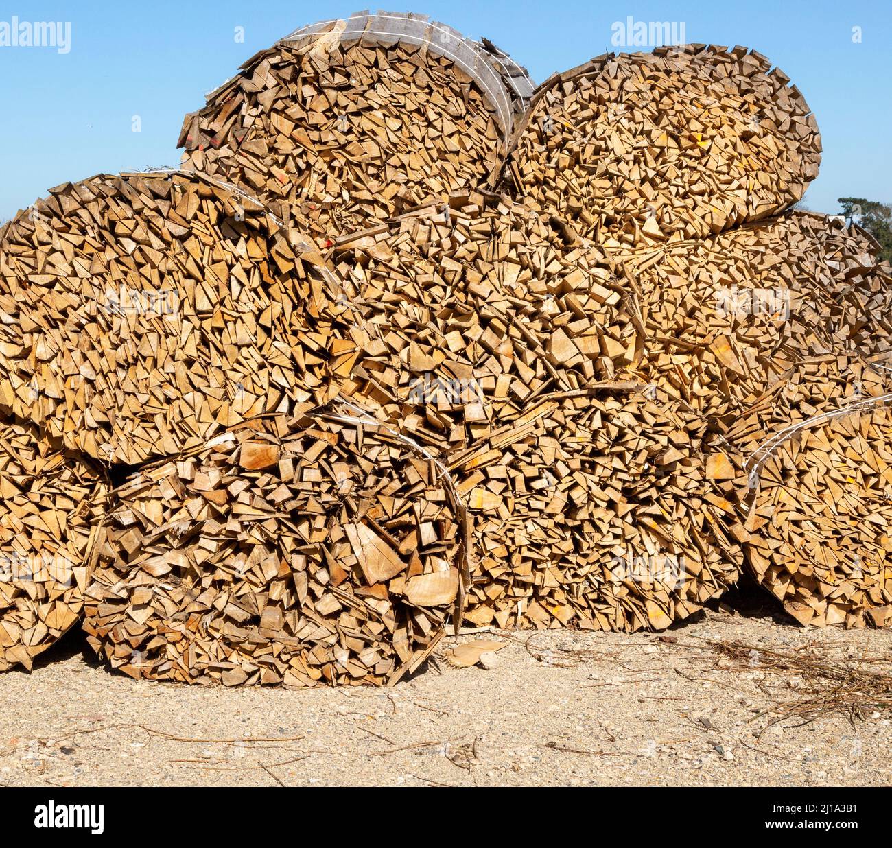 Fasci di scarti di legno in una segheria di salice, Suffolk, Inghilterra, Regno Unito Foto Stock