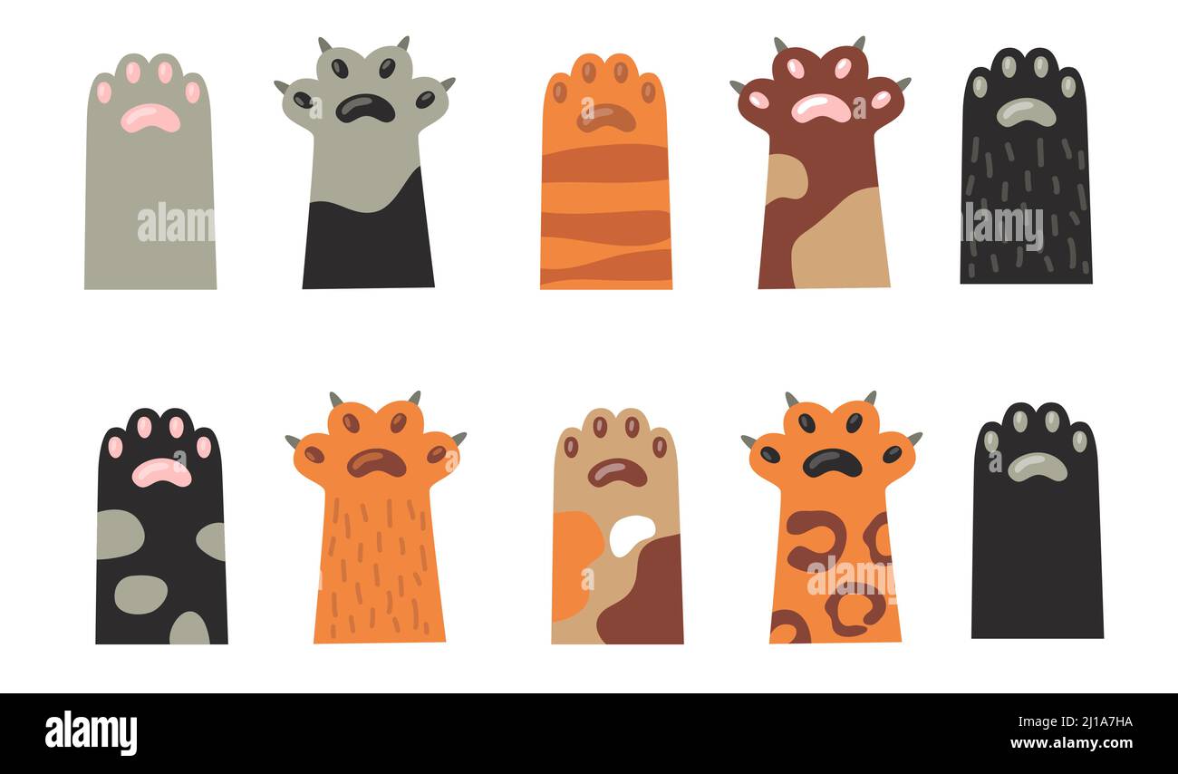 Cat lancia una collezione di icone piatte. Cartoon carino gattino footprint silhouette vettoriale set di illustrazioni. Concetto di animali e animali domestici Illustrazione Vettoriale