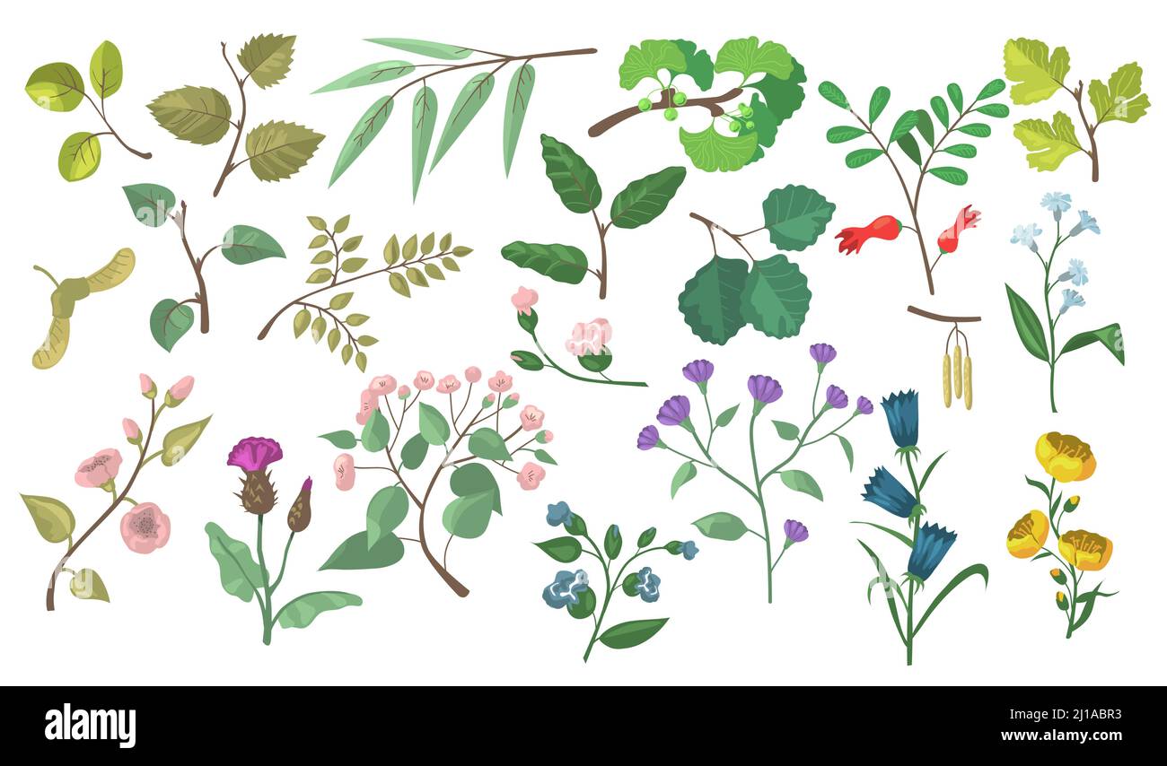 Elementi vettoriali piatti floreali e botanici moderni. Disegno di nozze foglie e fiori modelli di illustrazione set per biglietti di auguri. Fogliame, natura e. Illustrazione Vettoriale