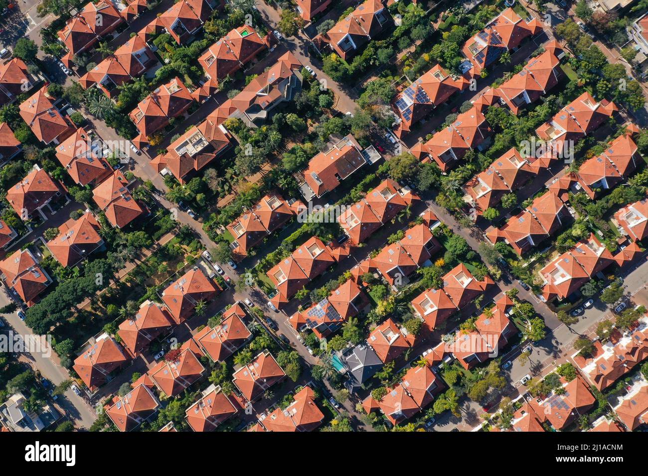 Case Suburban classiche con tetti rossi e alberi verdi. Foto Stock