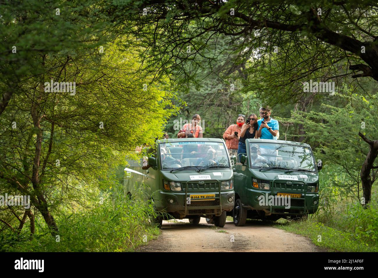 jaipur, rajasthan, India - 07 settembre 2021 - safari leopardo su veicolo elettrico o ev per esplorare la fauna selvatica e turisti con volti felici dopo la vista Foto Stock