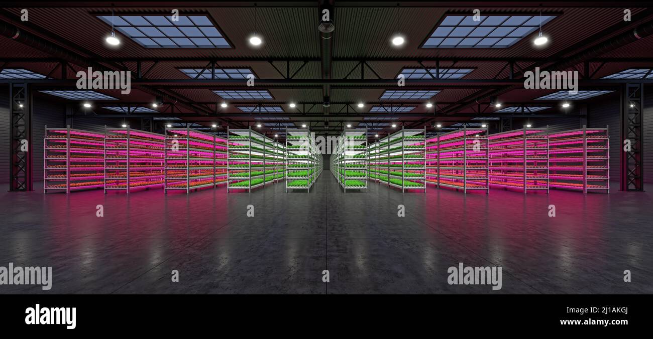 Stabilimento di ortaggi al coperto idroponico nel magazzino dello spazio espositivo. Interno della fattoria hydroponics. Insalata verde fattoria in hydroponics. Lattuga Ro Foto Stock