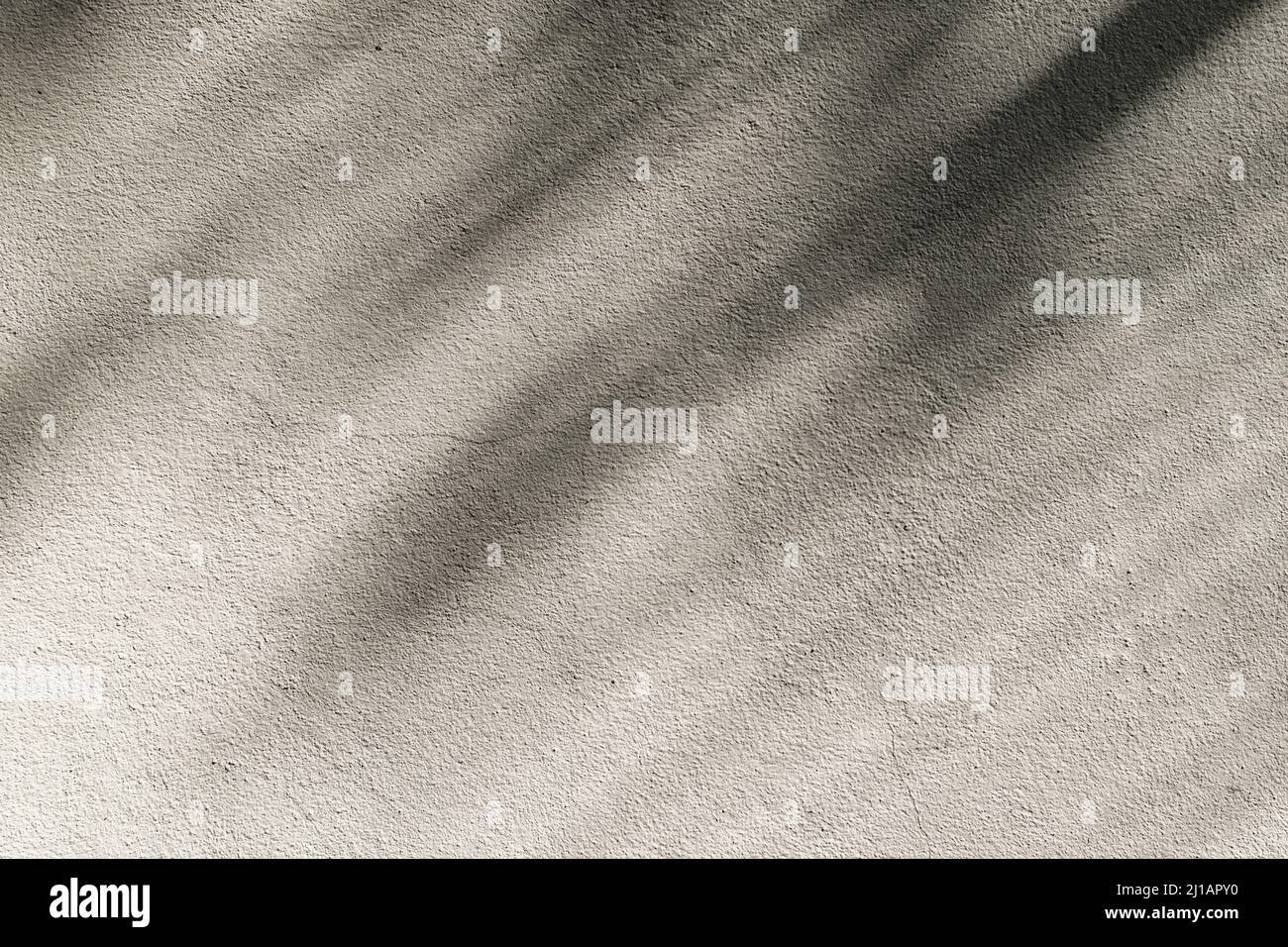 Sfondo di ombra di foglie di alberi di cocco sulla parete in cemento grunge testurizzato. Foto Stock