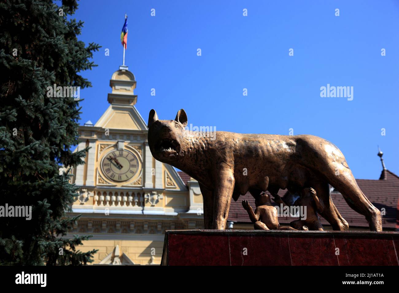 Denkmal Die kapitolinische Wölfin säugt die Knaben Romulus und Remus vor dem Rathaus von Brasov, Kronstadt, Siebenbürgen, Rumänien / Monumento la CA Foto Stock