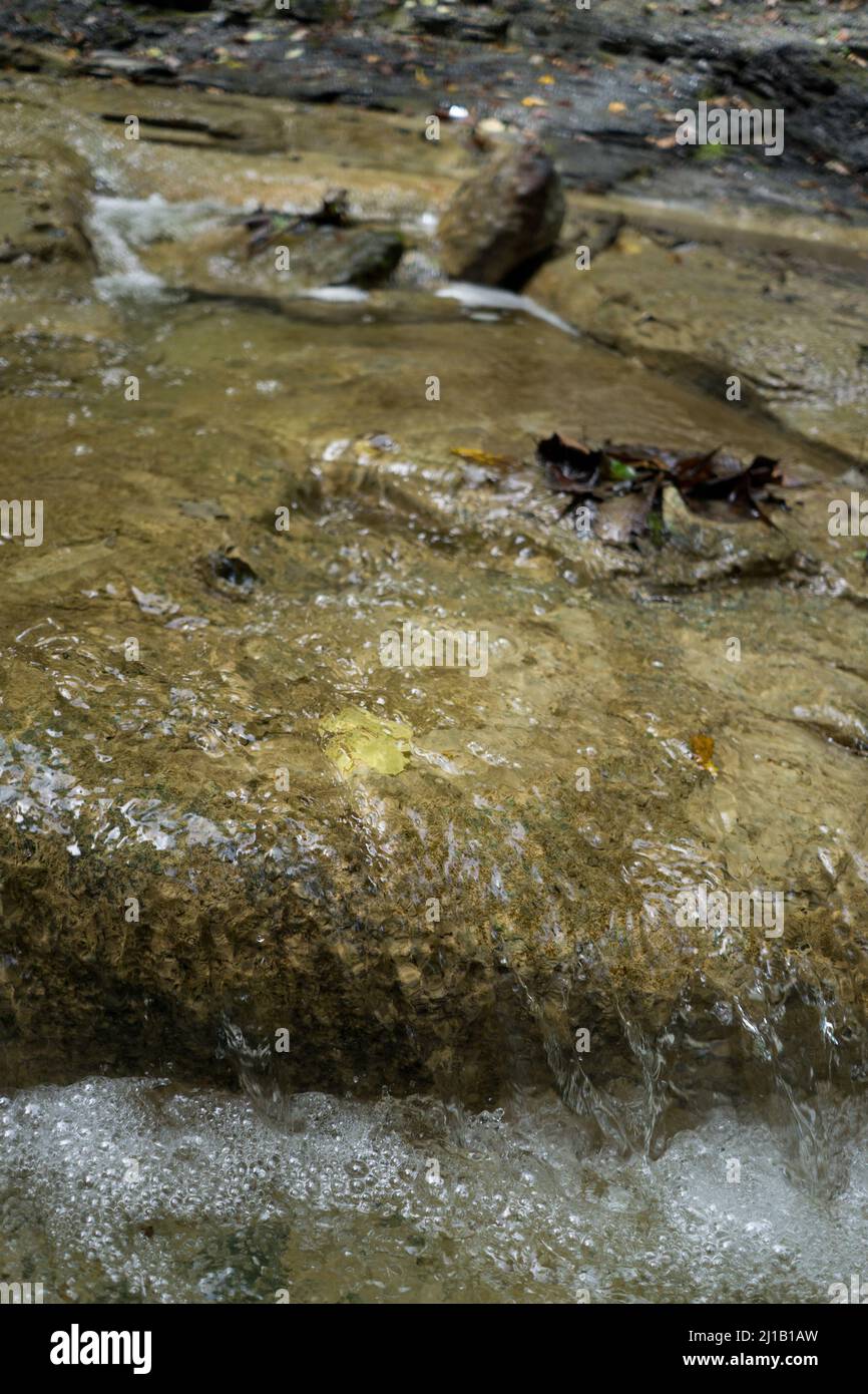 Paesaggio intorno alle cascate di Guppy a New York Foto Stock