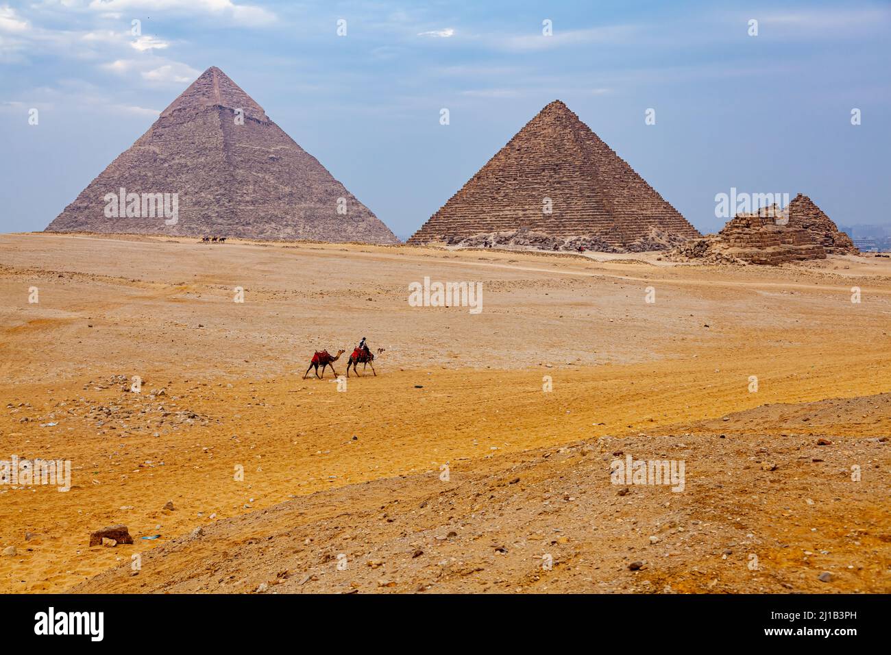 L'uomo egiziano e i suoi cammelli camminano nel deserto del Sahara in una giornata di sole con la Grande Piramide di Giza sullo sfondo. Foto Stock