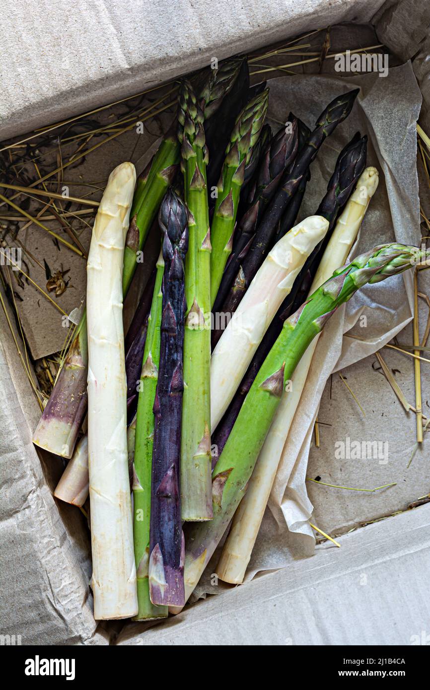 Asparagi crudi bianchi, viola, verdi in una scatola. Concetto di cibo crudo (consegna). Foto Stock