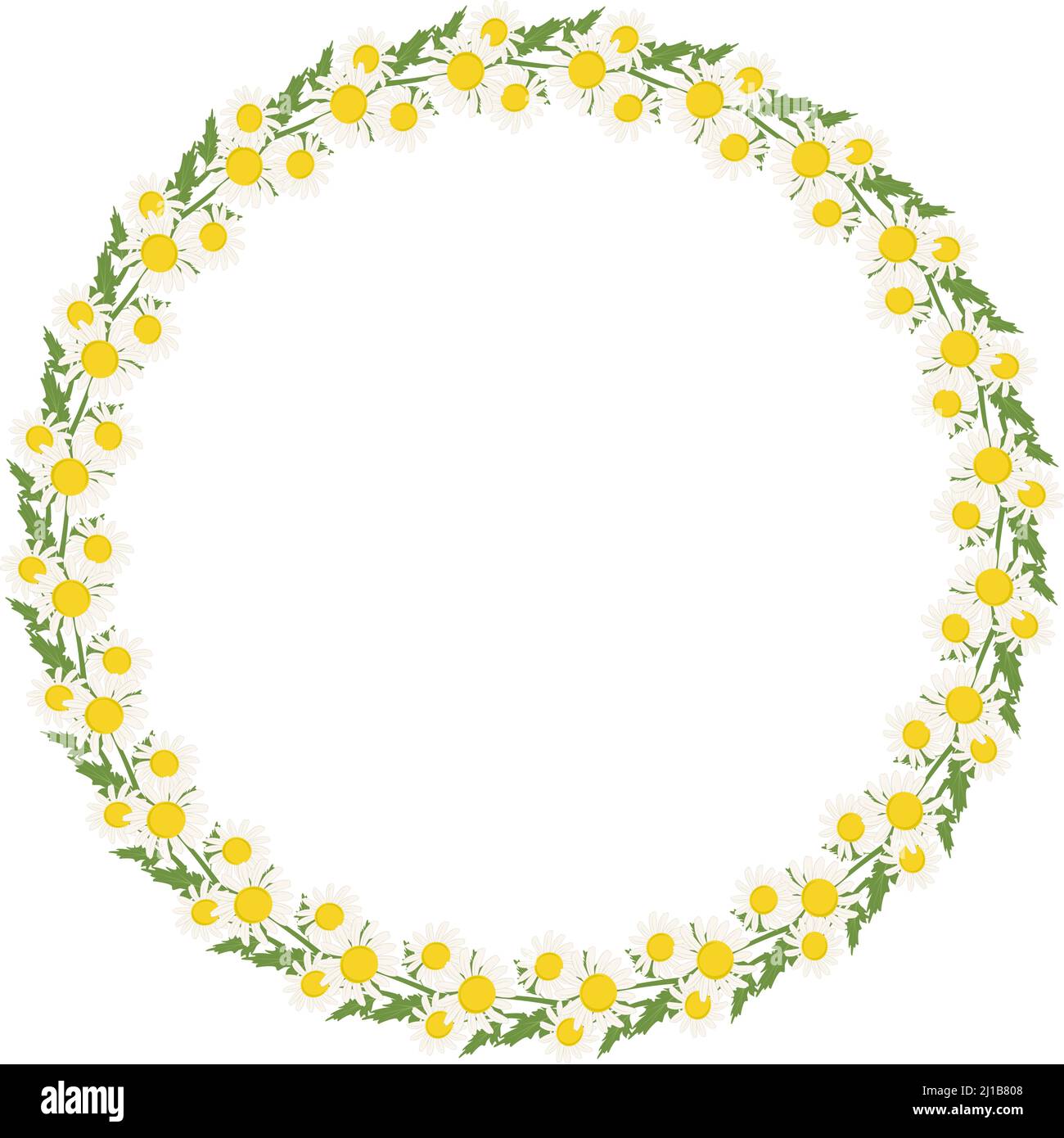 Corona daisy. Cornice rotonda, carino fiore bianco camomilla con cuori gialli e foglie. Decorazioni natalizie per matrimoni, feste, cartoline, poster e design. Illustrazione piatta vettoriale Illustrazione Vettoriale