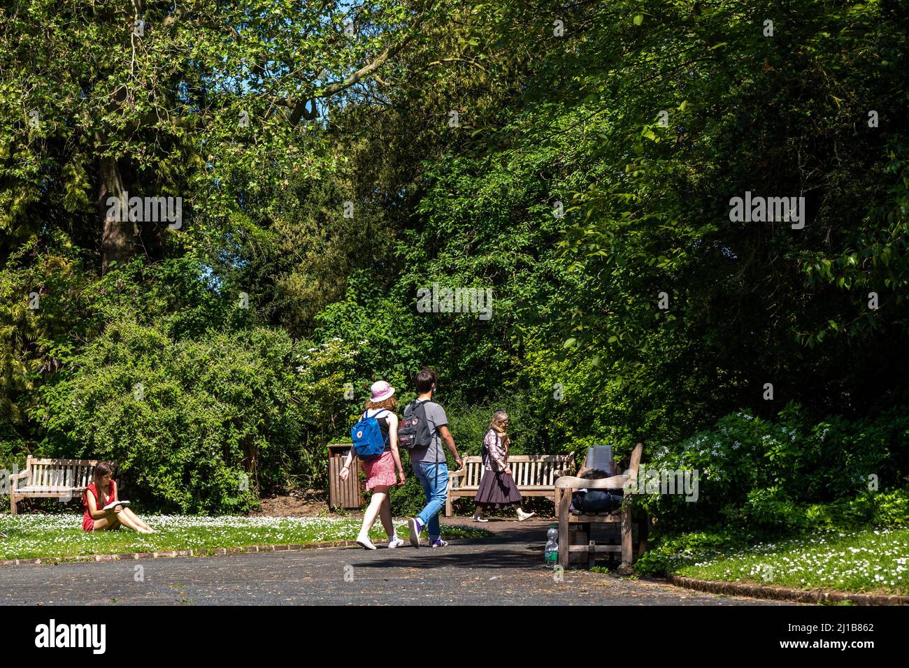 ATMOSFERA BUCOLICA, GIARDINO BOTANICO, CAEN, CALVADOS, NORMANDIA, FRANCIA Foto Stock
