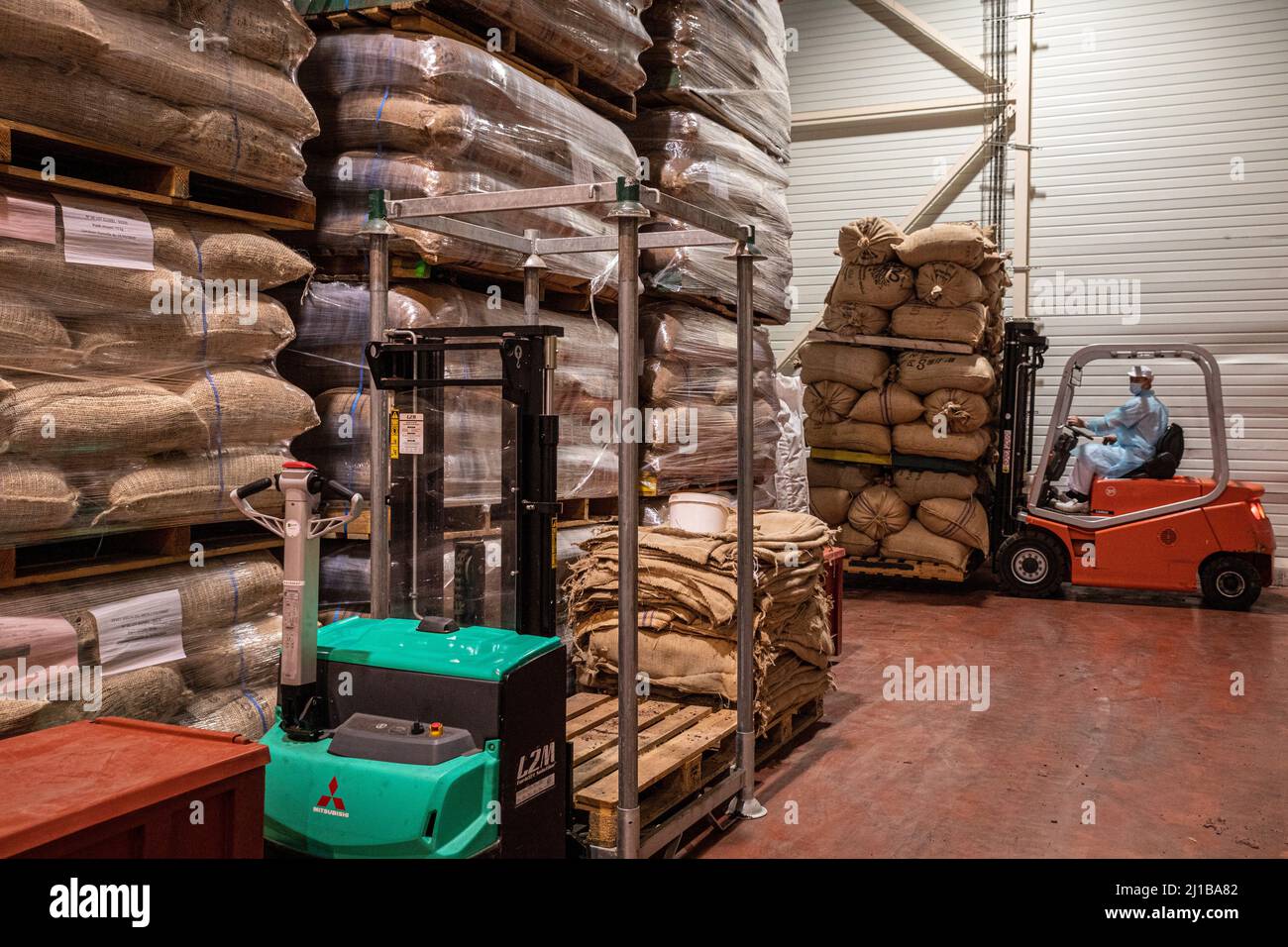 STOCCAGGIO DEI FAGIOLI DI CACAO, FABBRICA DI CIOCCOLATO CLUIZEL, DAMVILLE, MESNIL-SUR-ITON, EURE, NORMANDIA, FRANCIA Foto Stock