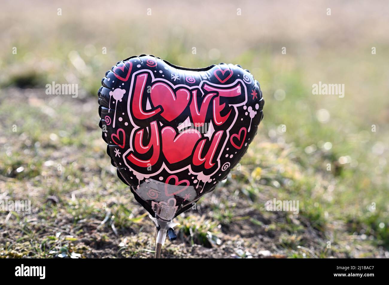 Vienna, Austria. Il cimitero centrale di Vienna. Palloncino con l'iscrizione "i Love You" Foto Stock